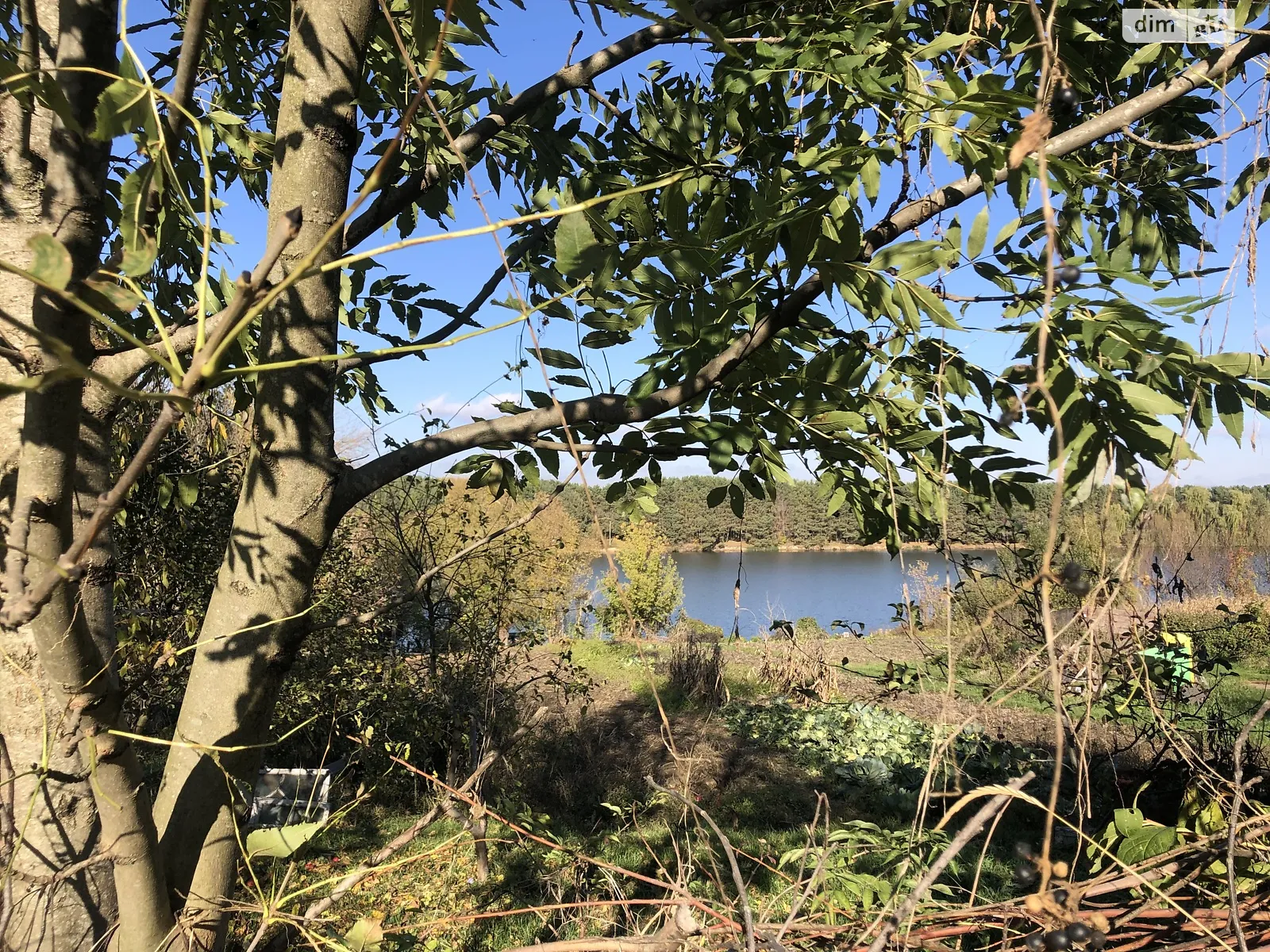 Продается земельный участок 25 соток в Винницкой области, цена: 49000 $ - фото 1