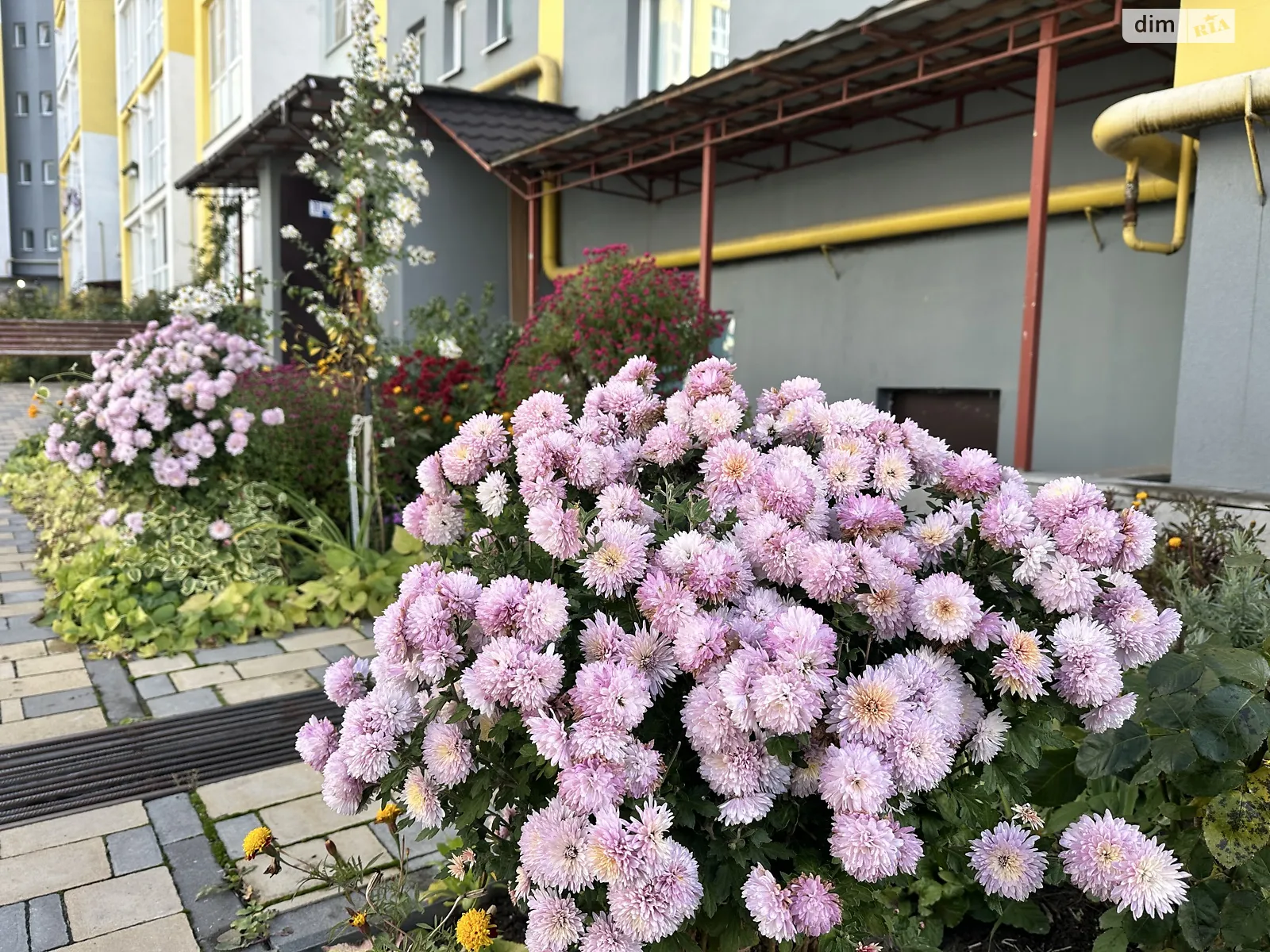 Продается 2-комнатная квартира 62.16 кв. м в Зарванцах, ул. Одесская, 4 - фото 1