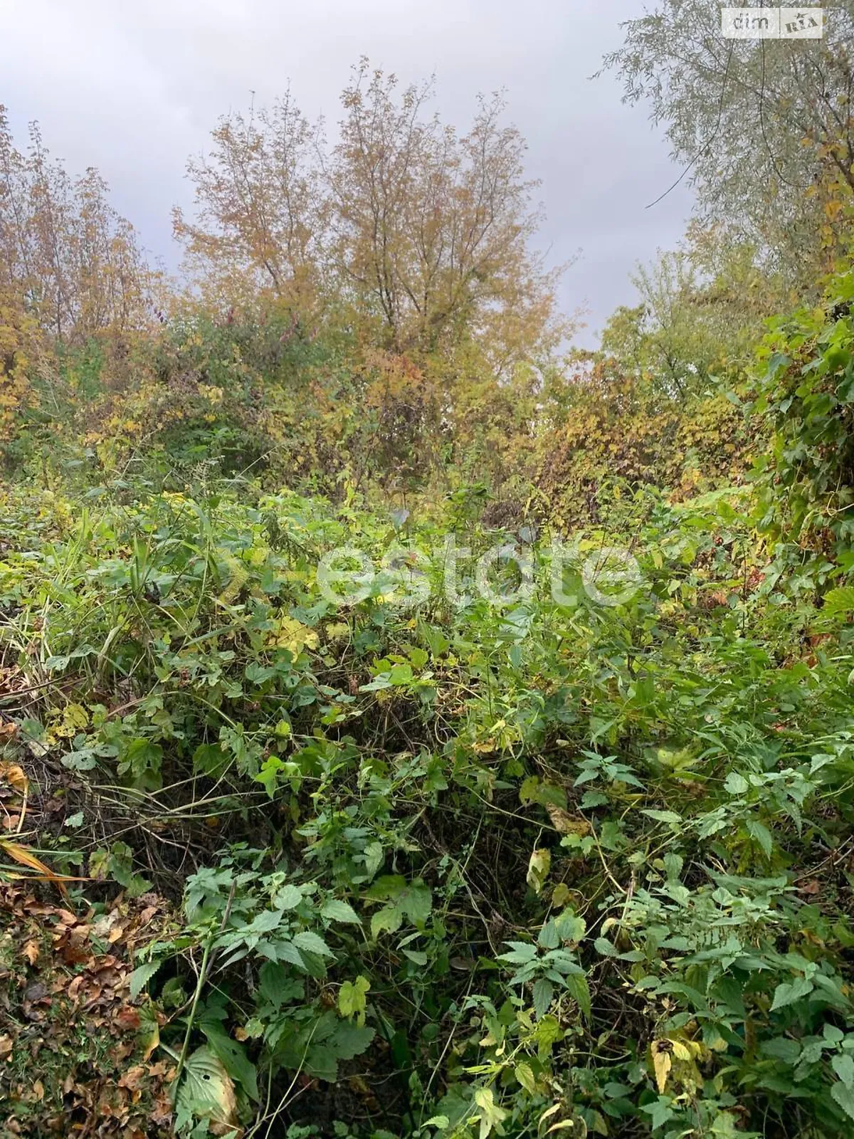 Продается земельный участок 6.17 соток в Киевской области, цена: 50000 $ - фото 1