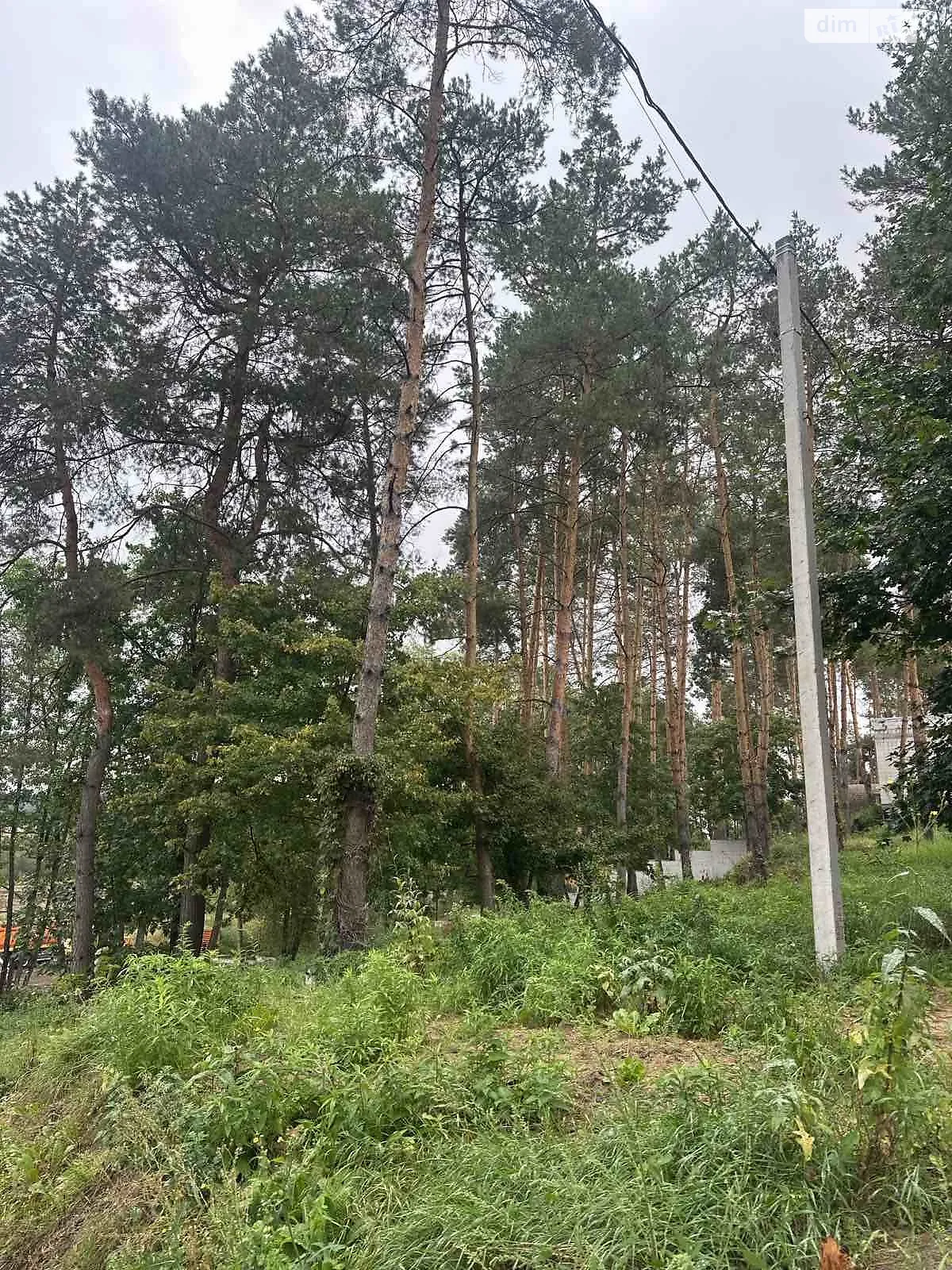 Продается земельный участок 10 соток в Киевской области, цена: 6000 $ - фото 1