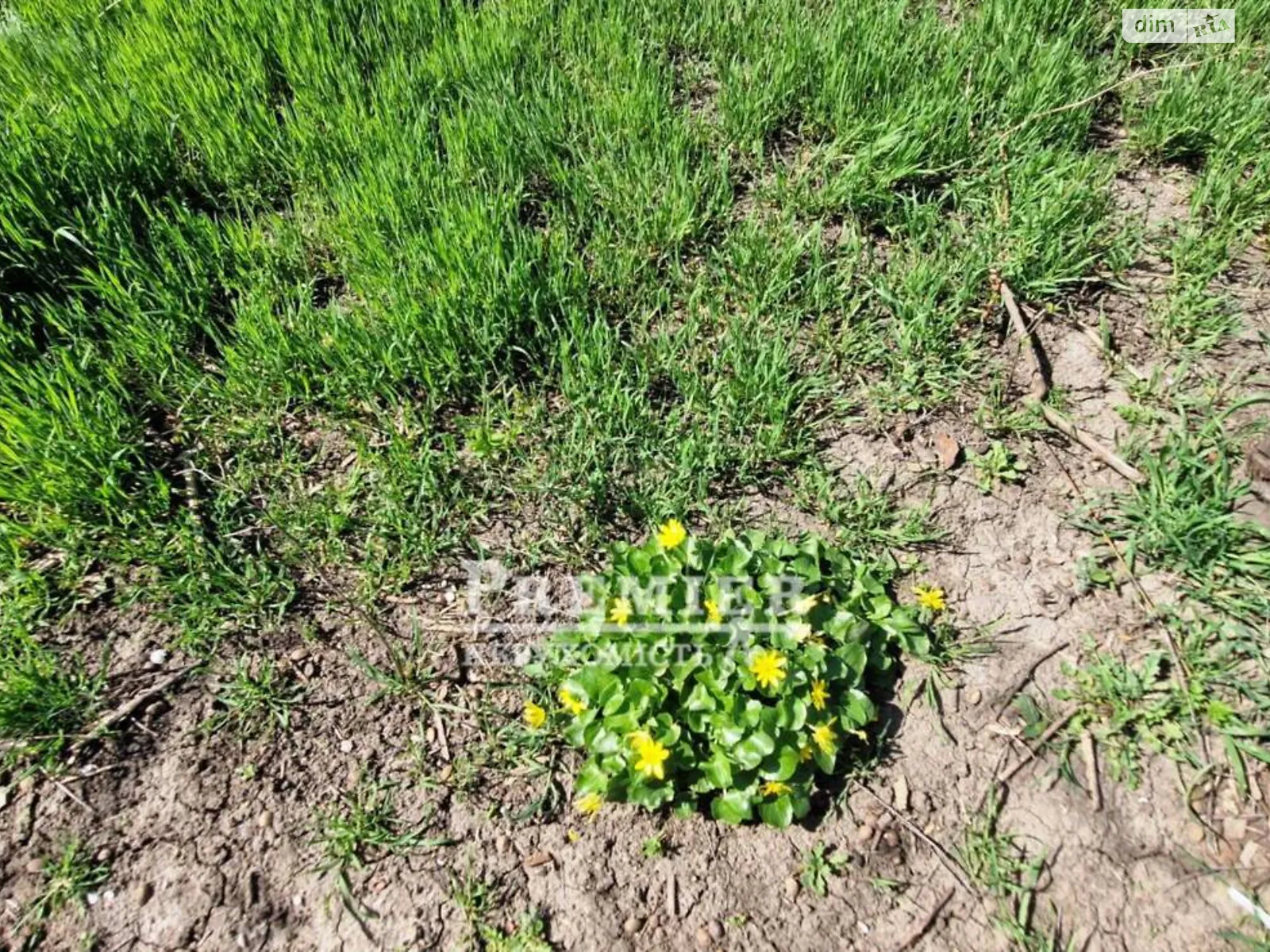 Продается земельный участок 6 соток в Одесской области, цена: 4000 $ - фото 1