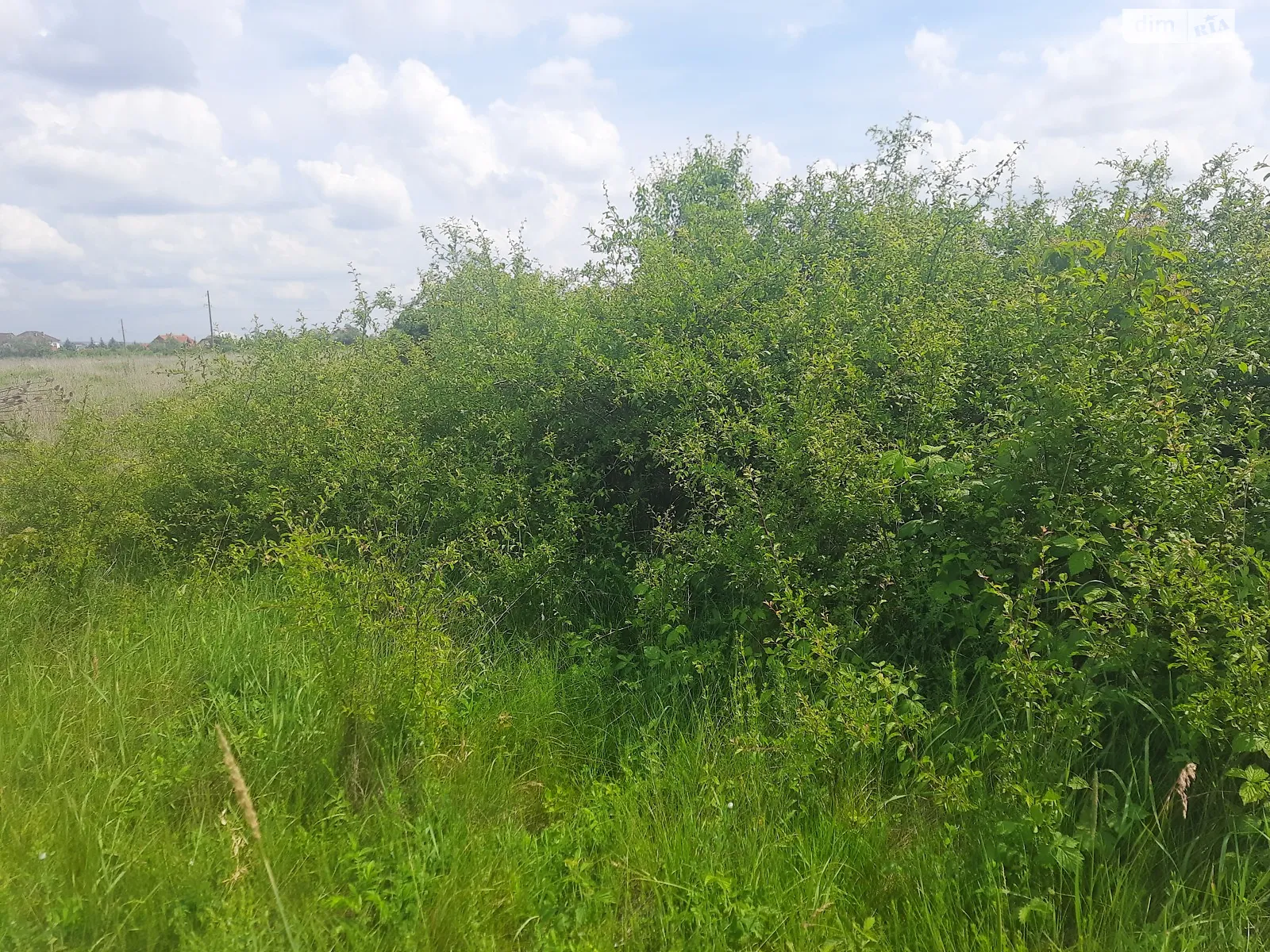 Продается земельный участок 172 соток в Закарпатской области, цена: 100000 $ - фото 1