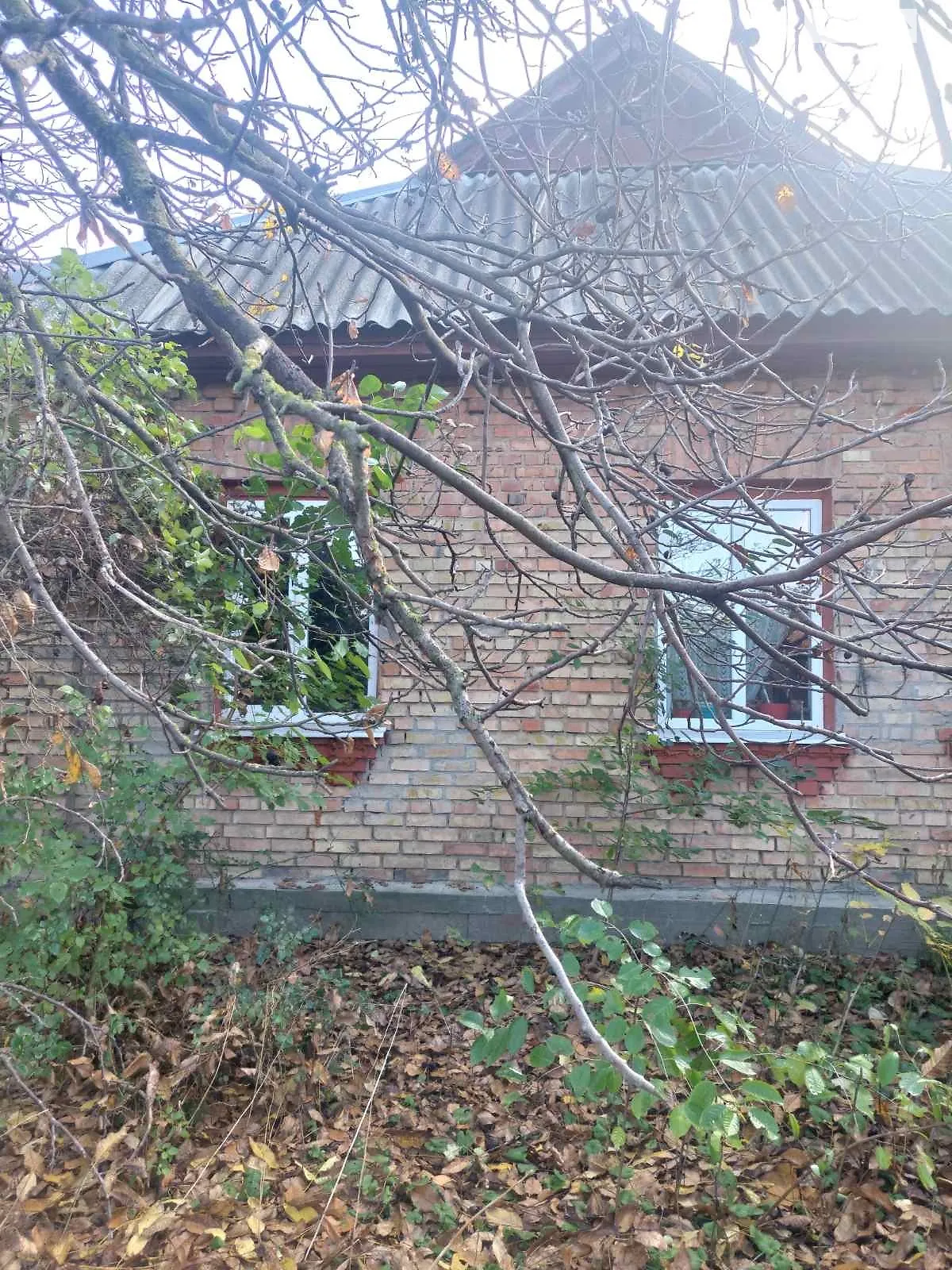 Продается одноэтажный дом 71 кв. м с террасой, цена: 26000 $ - фото 1