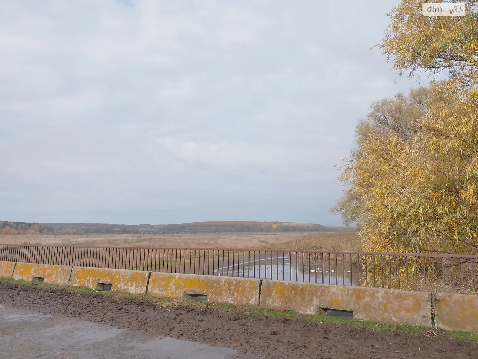 Продается одноэтажный дом 4000 кв. м с садом, цена: 20000 $ - фото 1