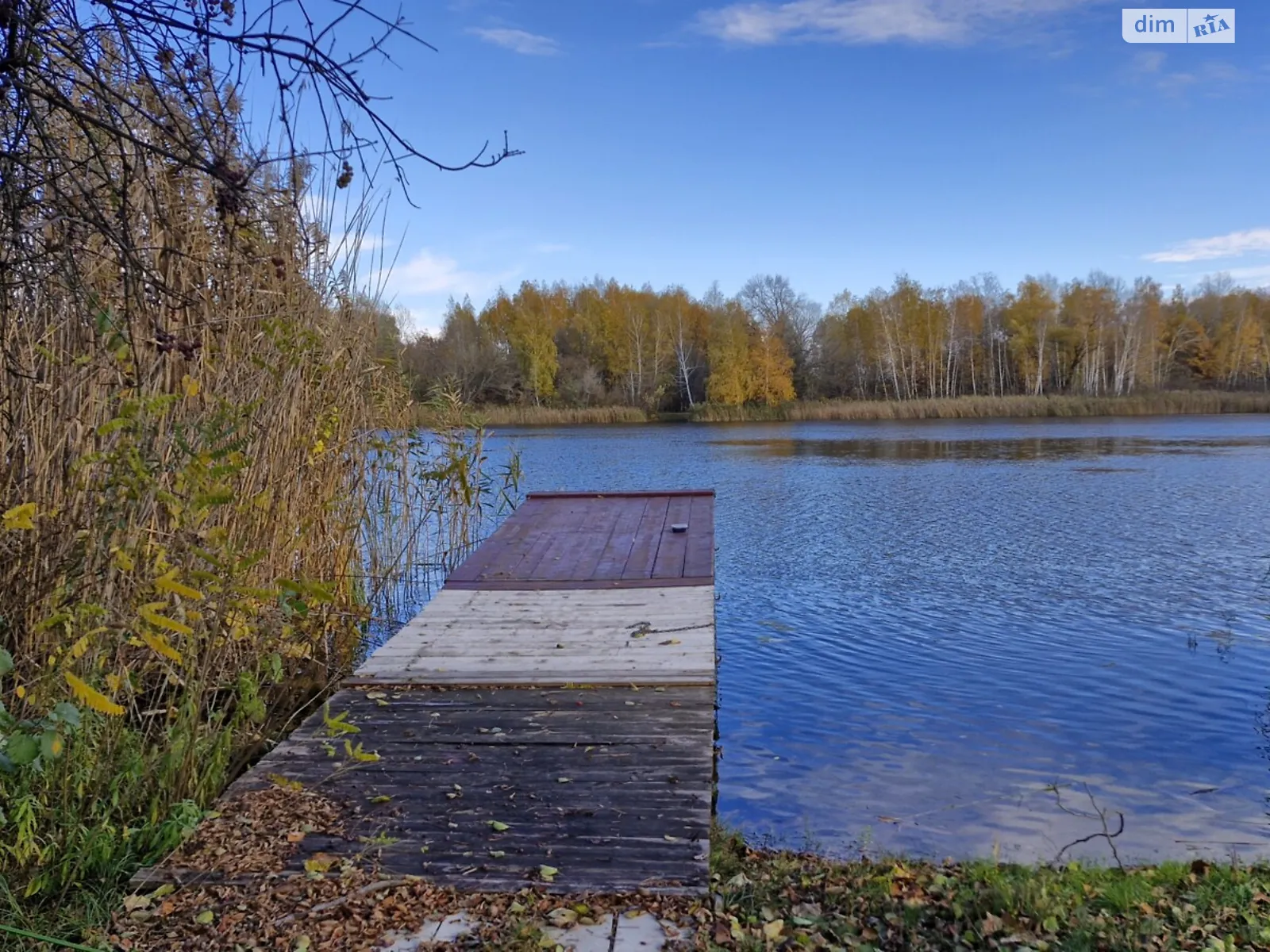 вул. Анатолія Солов'яненка(Леніна) Козин (Обухів), цена: 300000 $ - фото 1