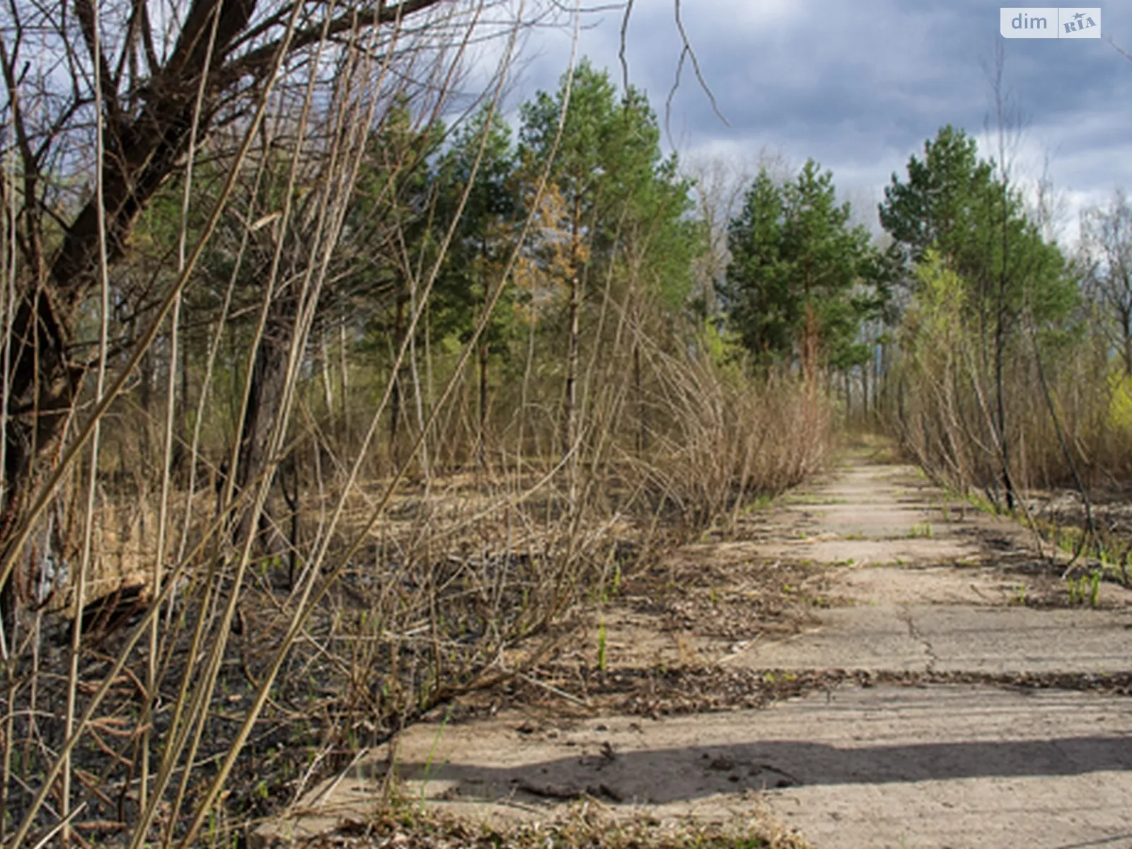 Продається земельна ділянка 150 соток у Черкаській області, цена: 130000 $ - фото 1