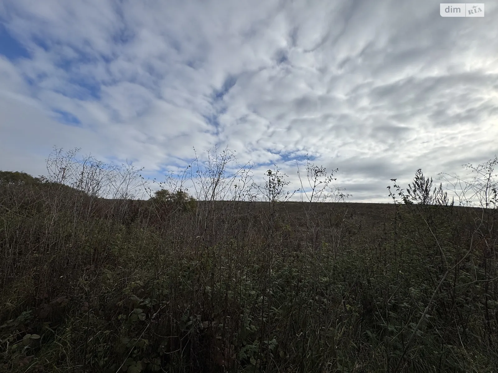 Продается земельный участок 12 соток в Хмельницкой области, цена: 8000 $ - фото 1