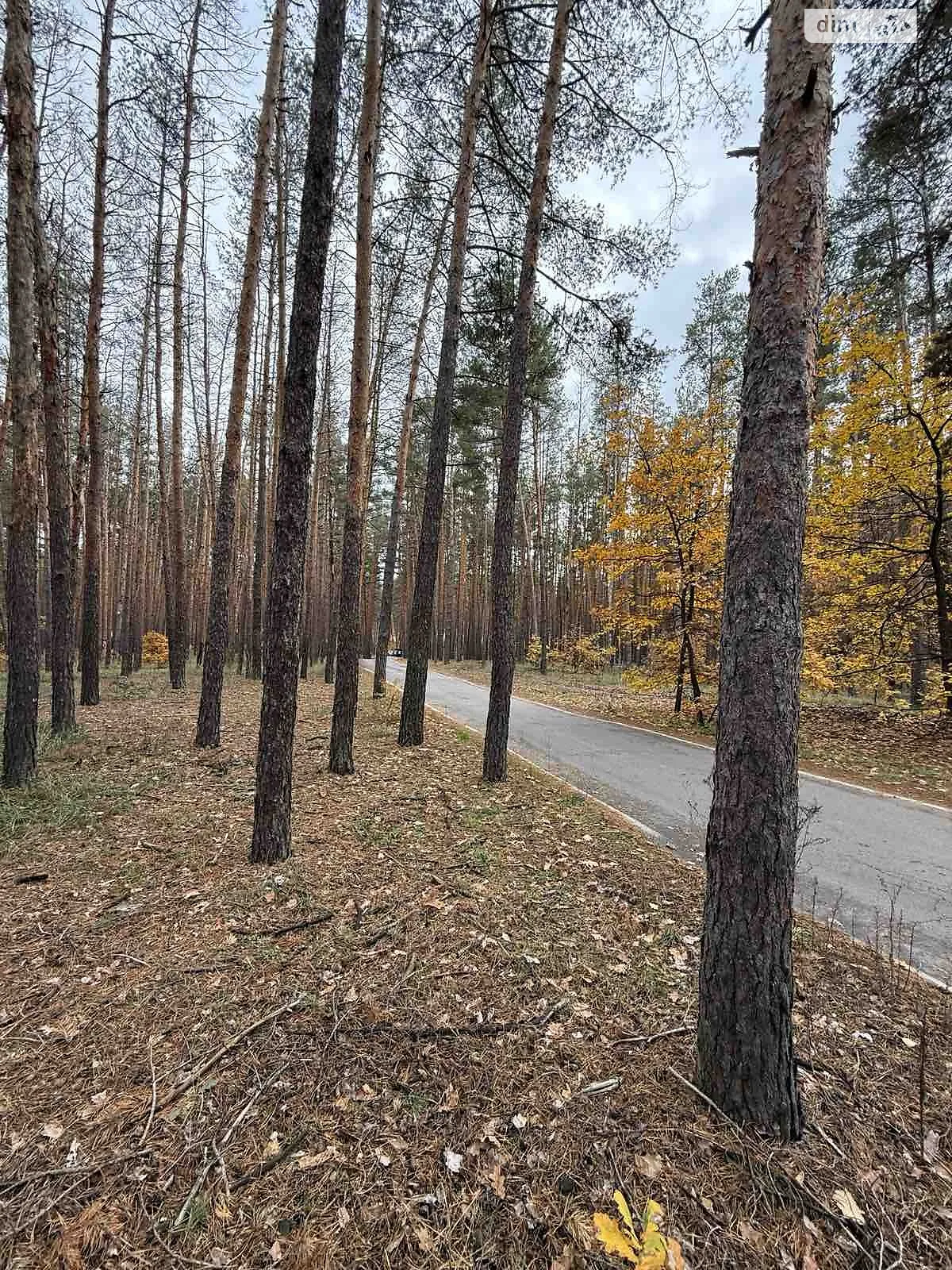 Продается земельный участок 52.12 соток в Полтавской области, цена: 105000 $ - фото 1