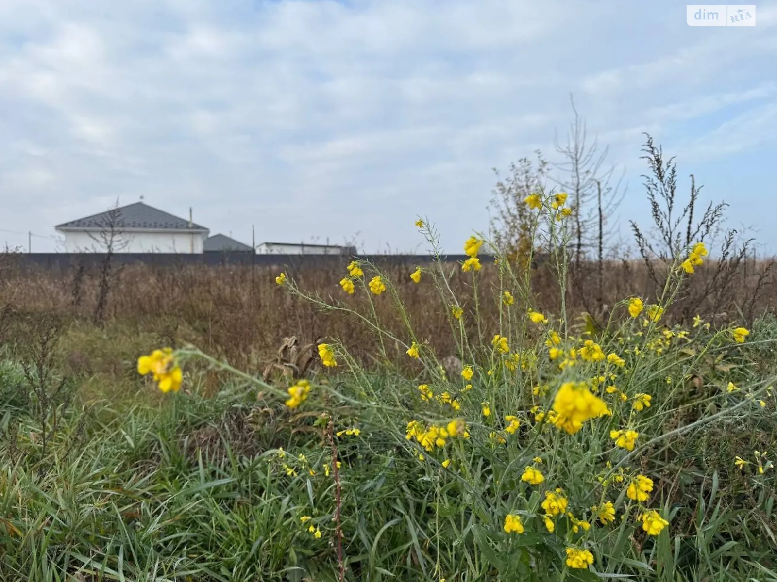 Продается земельный участок 19.28 соток в Киевской области, цена: 27000 $ - фото 1