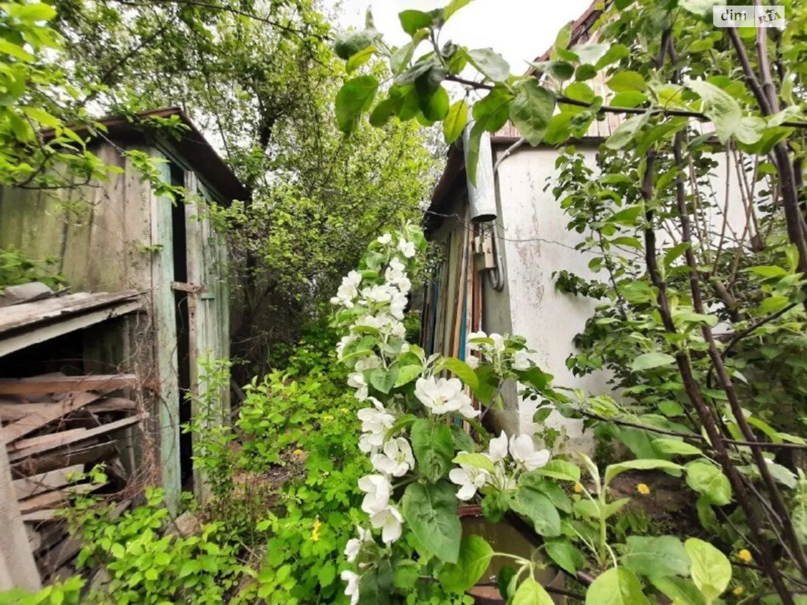 Продается одноэтажный дом 15 кв. м с бассейном, цена: 21000 $ - фото 1