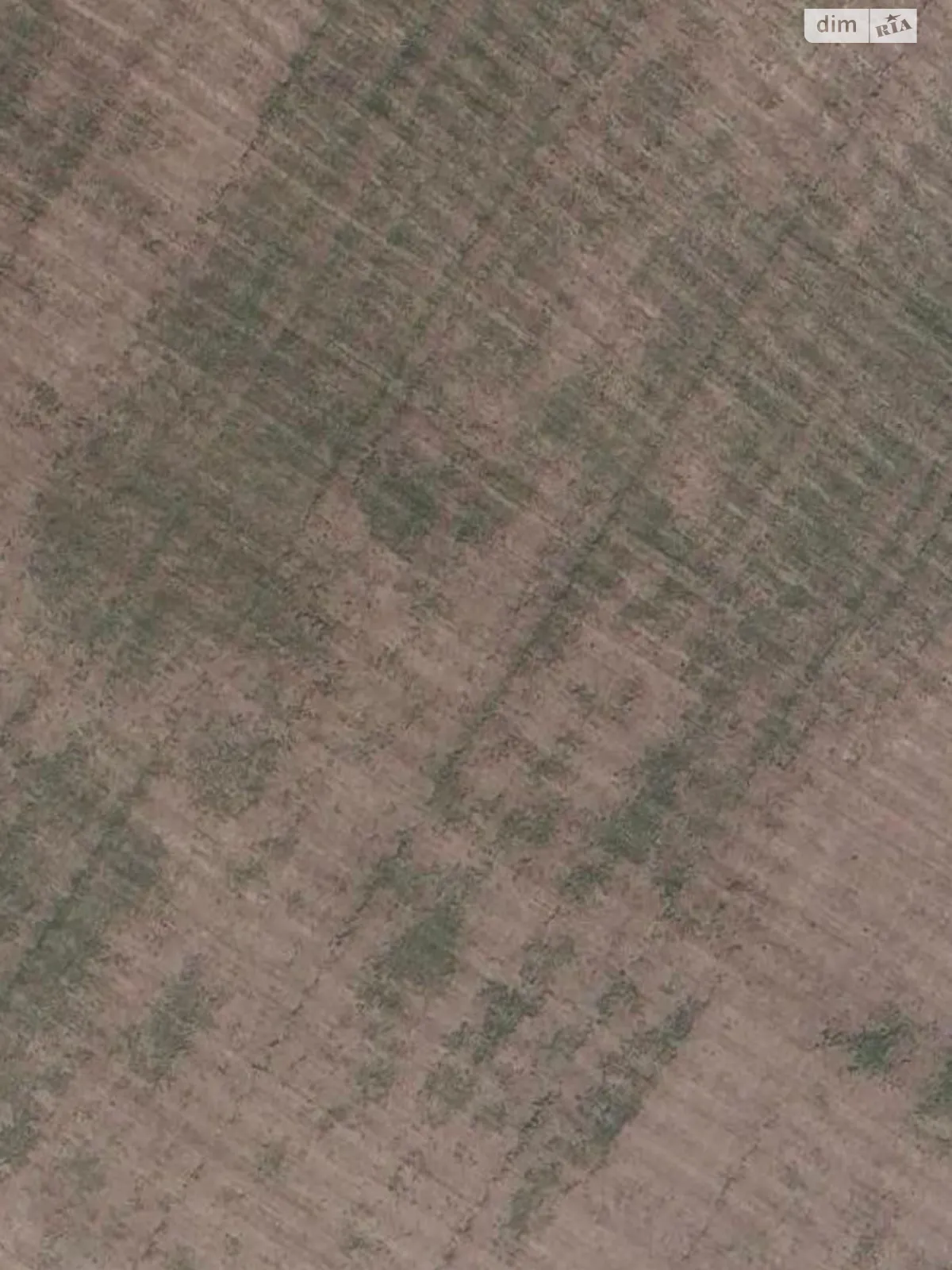 Продается земельный участок 2.8489 соток в Кировоградской области, цена: 94100 грн - фото 1