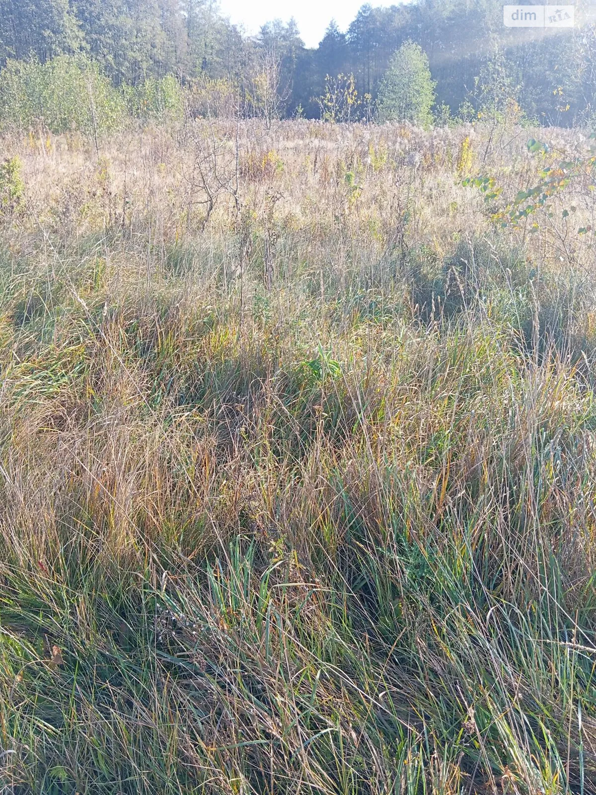 Здається в оренду земельна ділянка 19.7714 соток у Хмельницькій області, цена: 14013 грн - фото 1