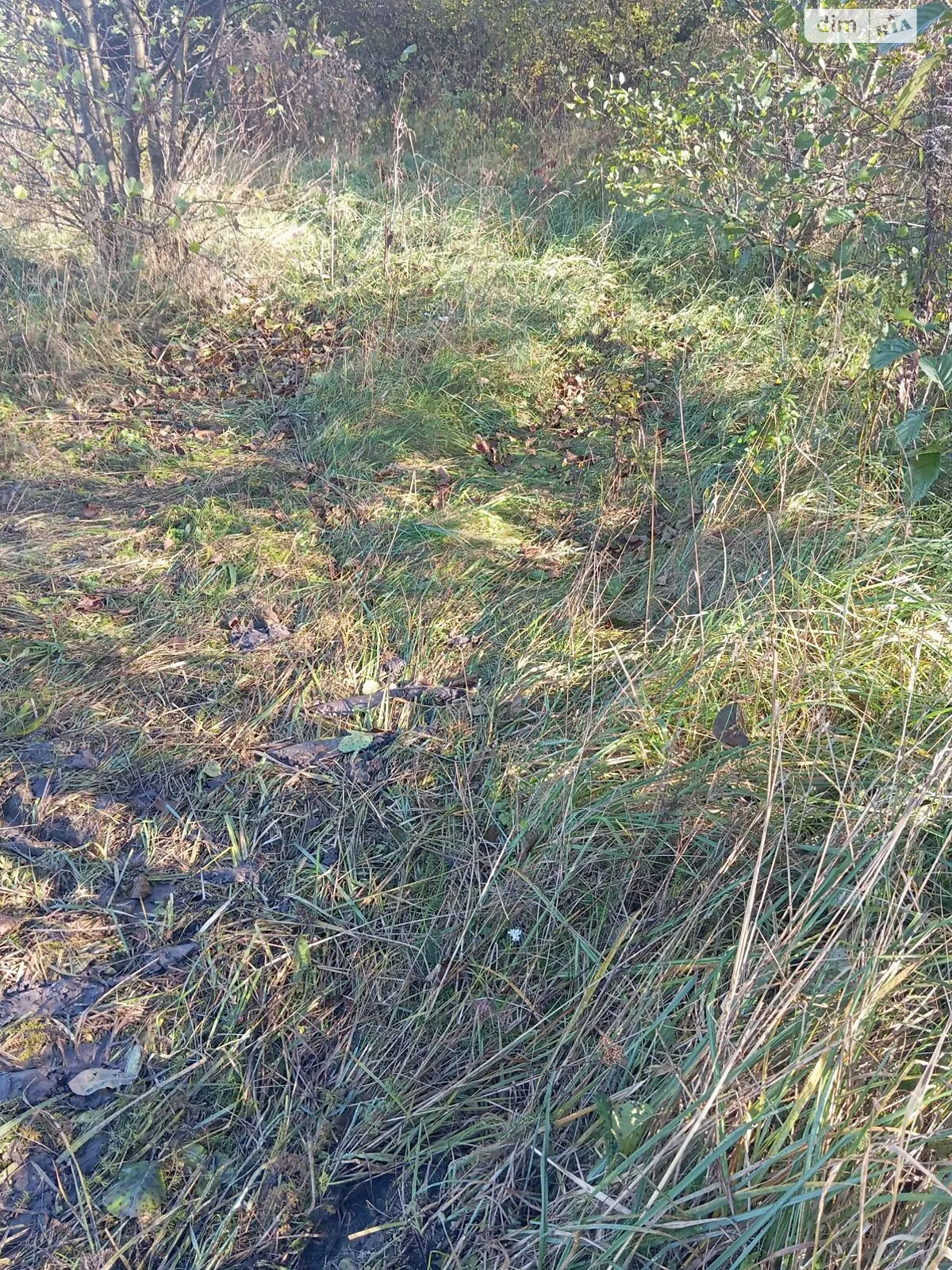 Здається в оренду земельна ділянка 19.7714 соток у Хмельницькій області, цена: 14136 грн - фото 1