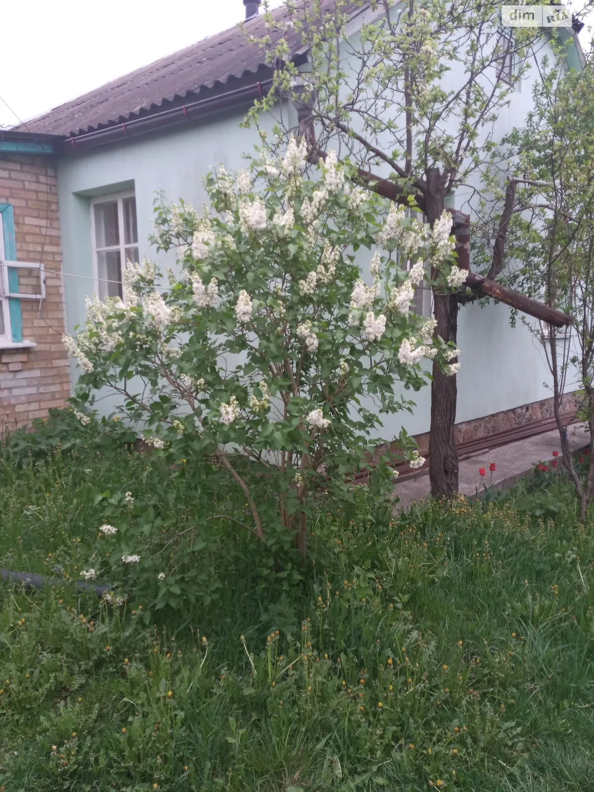 Продается одноэтажный дом 83.6 кв. м с участком, цена: 72000 $ - фото 1