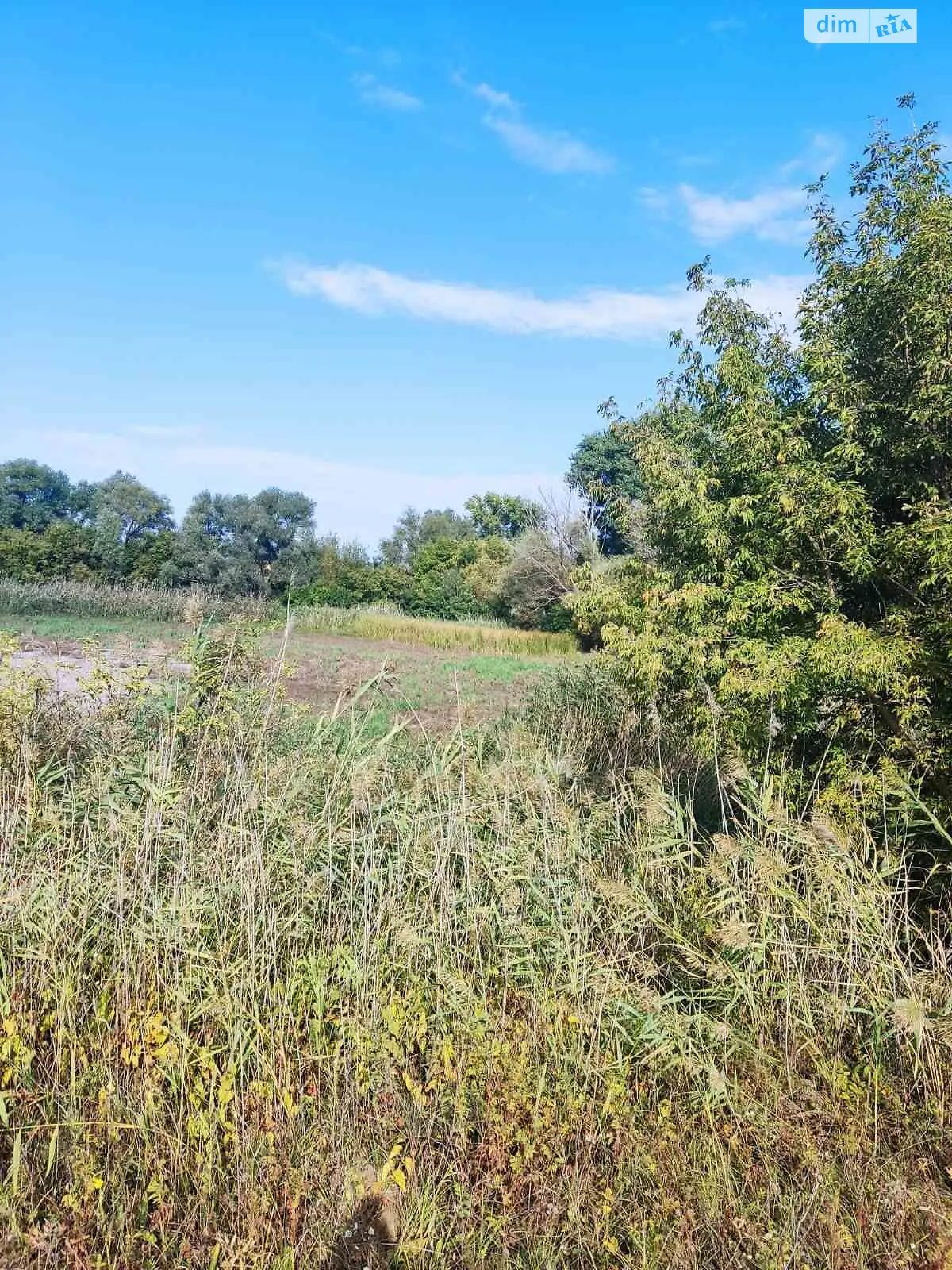 Панчеве, цена: 44050 грн - фото 1