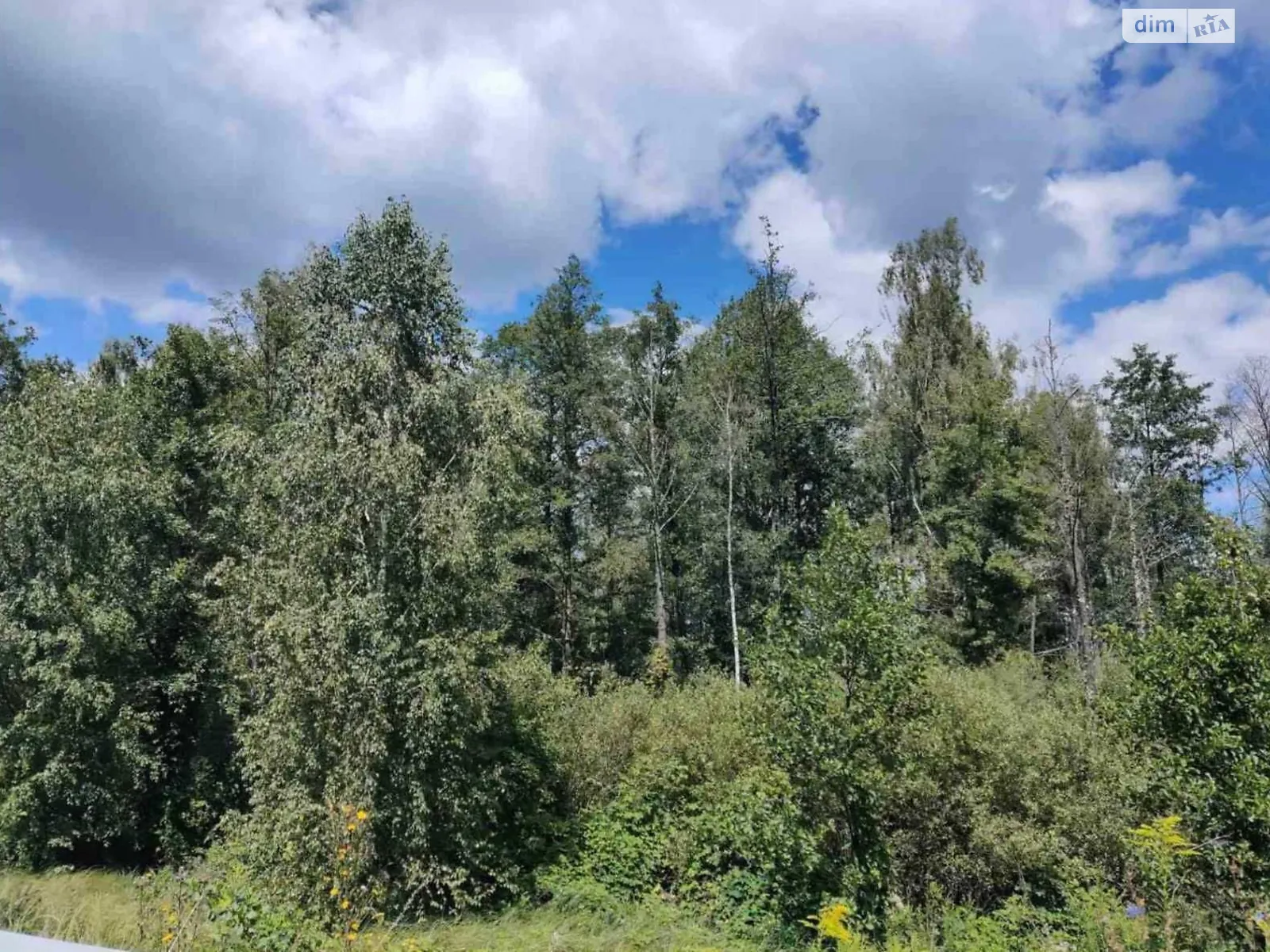 Продается земельный участок 5 соток в Житомирской области, цена: 5534500 грн - фото 1