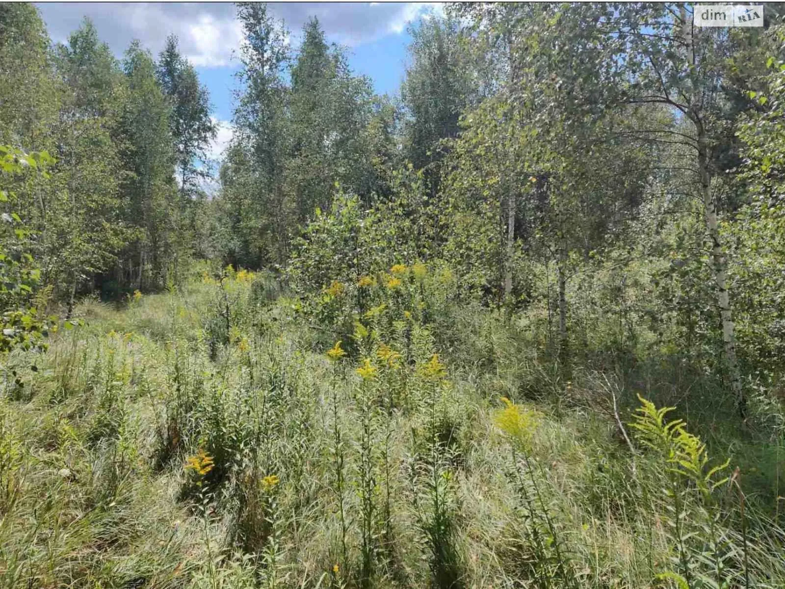 Продается земельный участок 16.8638 соток в Житомирской области, цена: 16233094 грн - фото 1