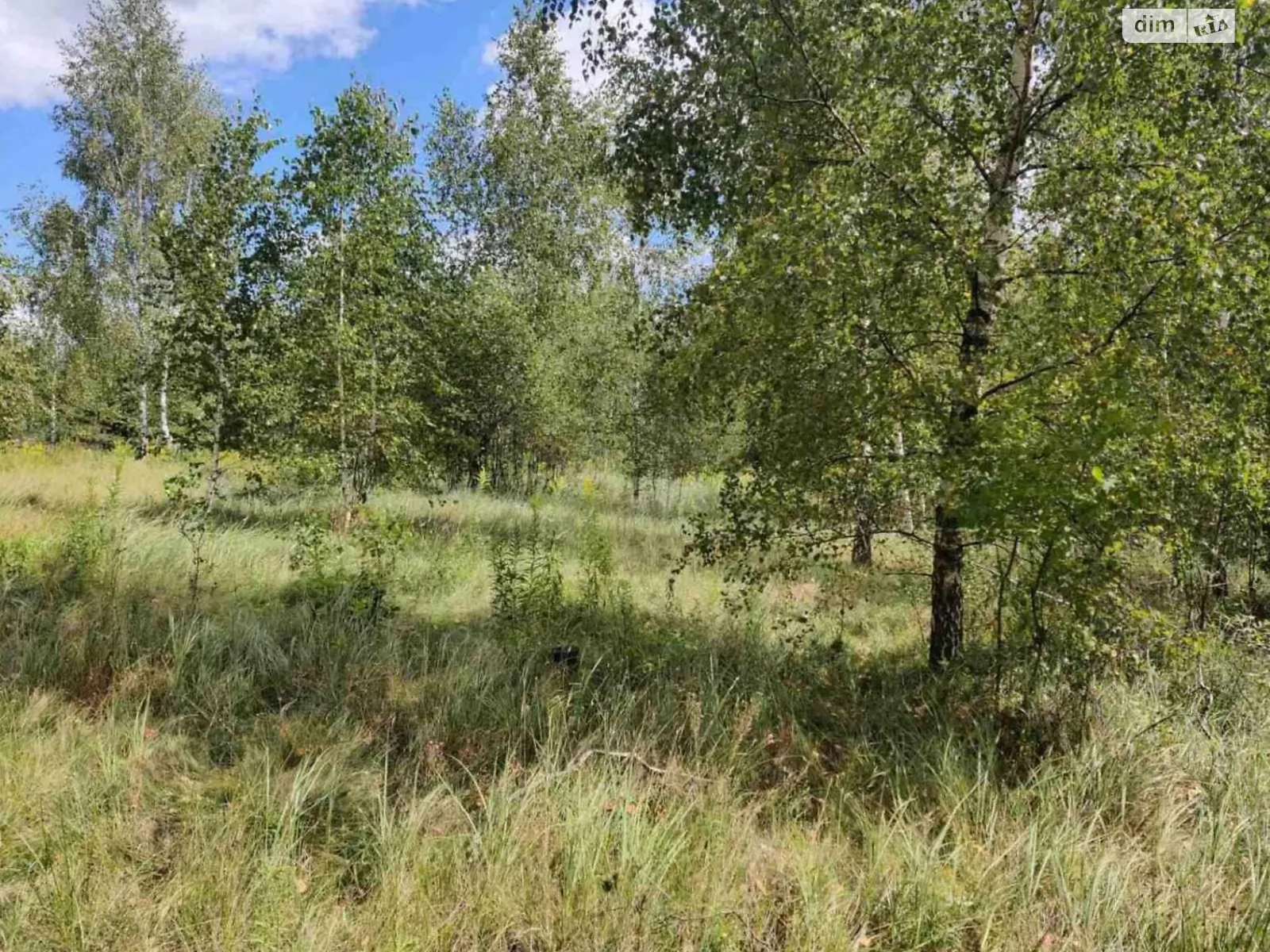 Продается земельный участок 16.8638 соток в Житомирской области, цена: 16233094 грн - фото 1