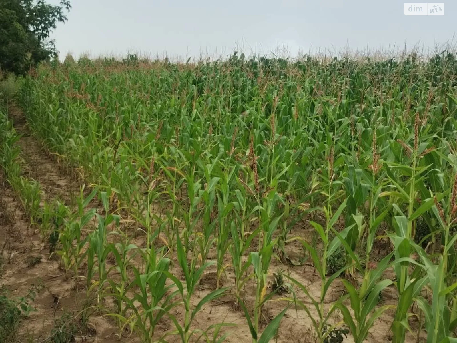 Жмеринка, цена: 3866 грн - фото 1