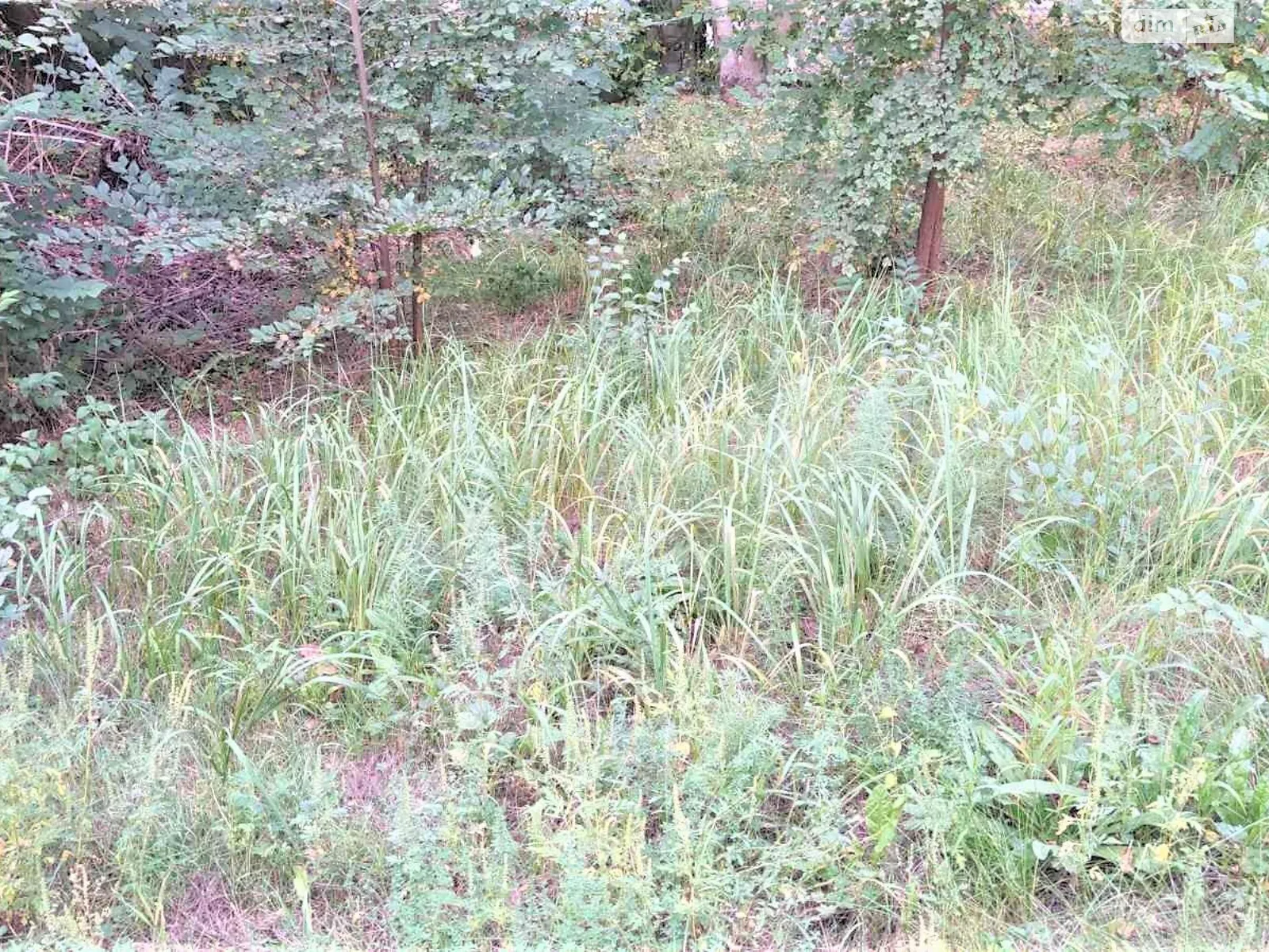 Городище, цена: 26650 грн - фото 1