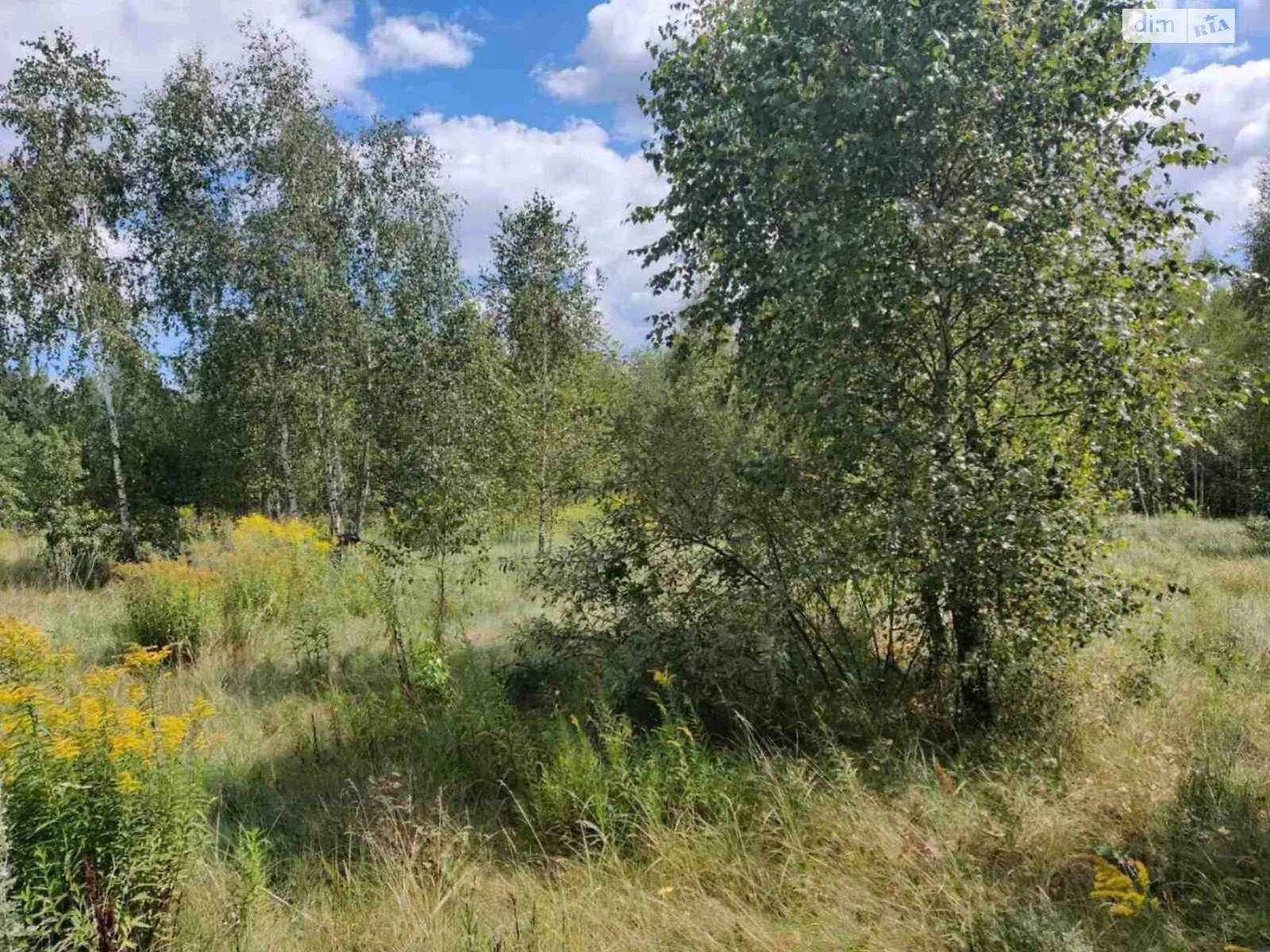 Продается земельный участок 30.4454 соток в Житомирской области, цена: 28722190 грн - фото 1