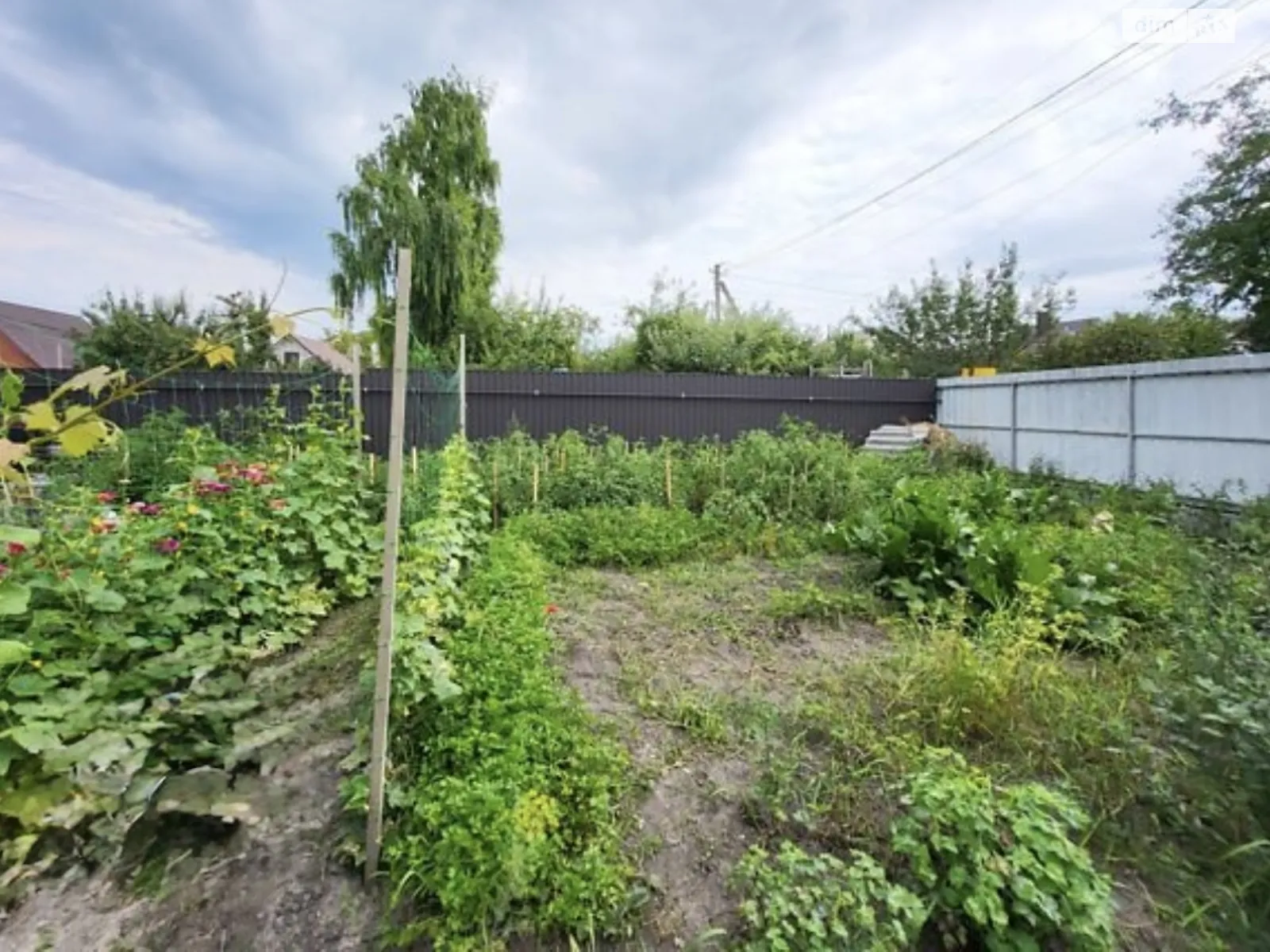 Продается одноэтажный дом 49.8 кв. м с подвалом, цена: 6000 $ - фото 1