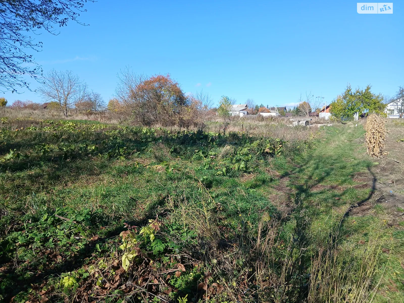 Продается земельный участок 20 соток в Винницкой области, цена: 60000 $ - фото 1