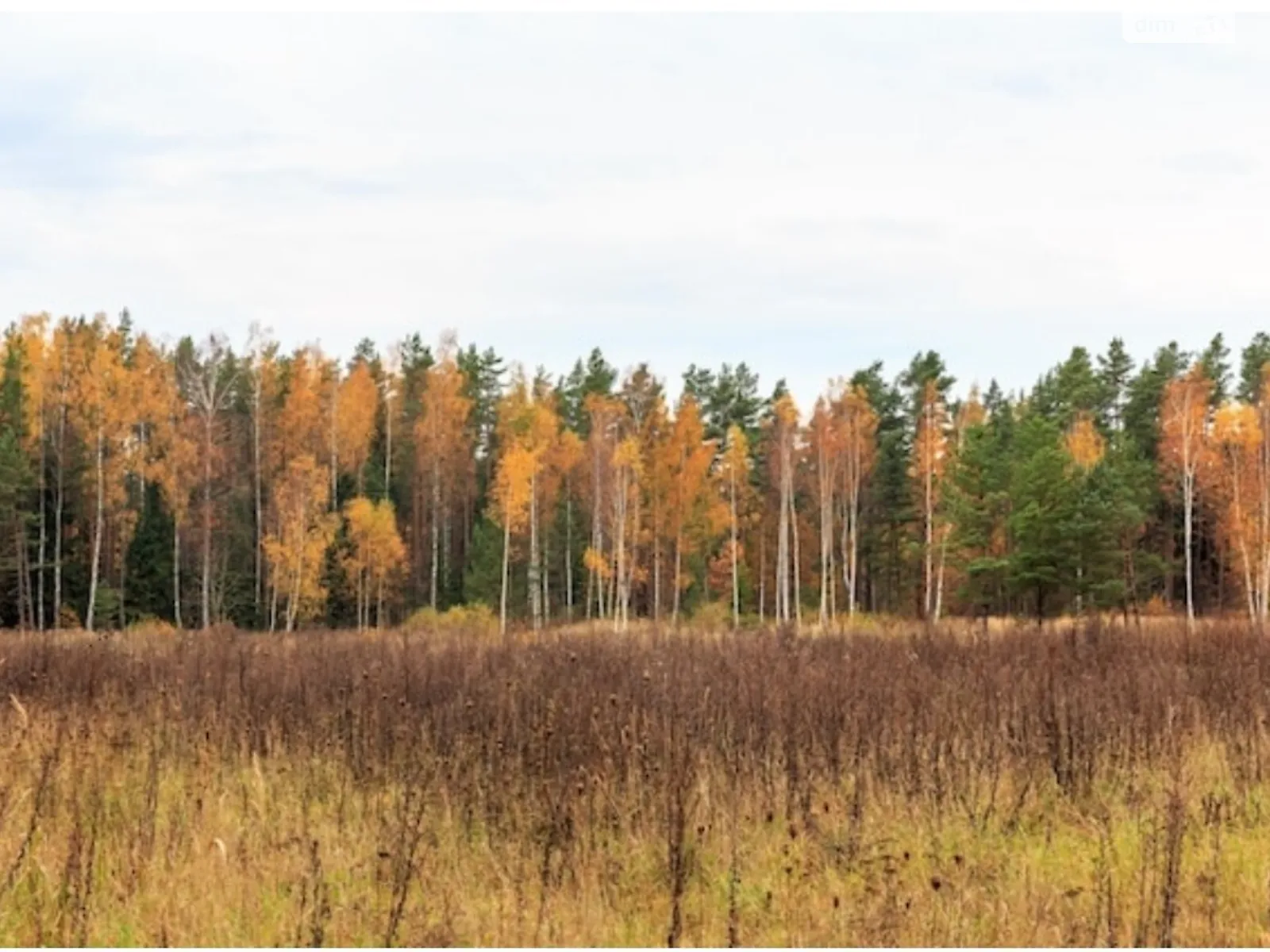 ул. Полевая Креничи, цена: 15000 $ - фото 1