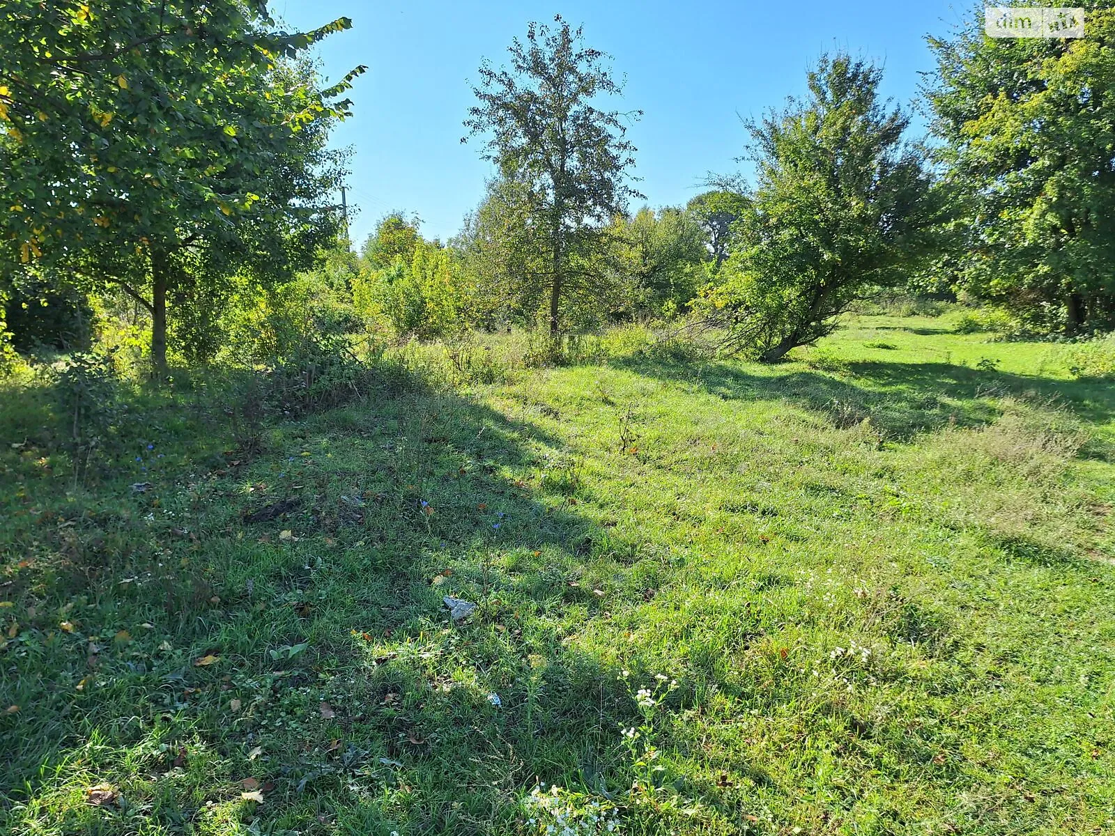 Здається в оренду земельна ділянка 0.667 соток у Чернівецькій області, цена: 3594 грн - фото 1