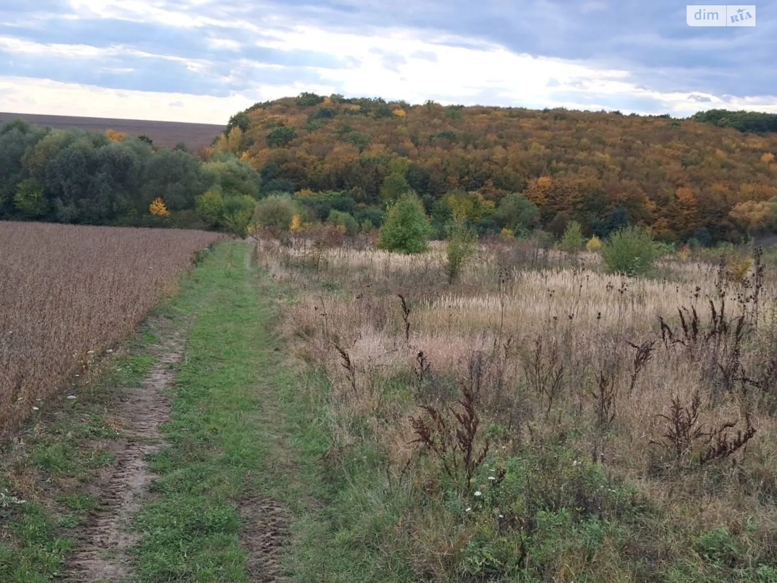 Сдается в аренду земельный участок 4.0934 соток в Тернопольской области, цена: 6813 грн - фото 1