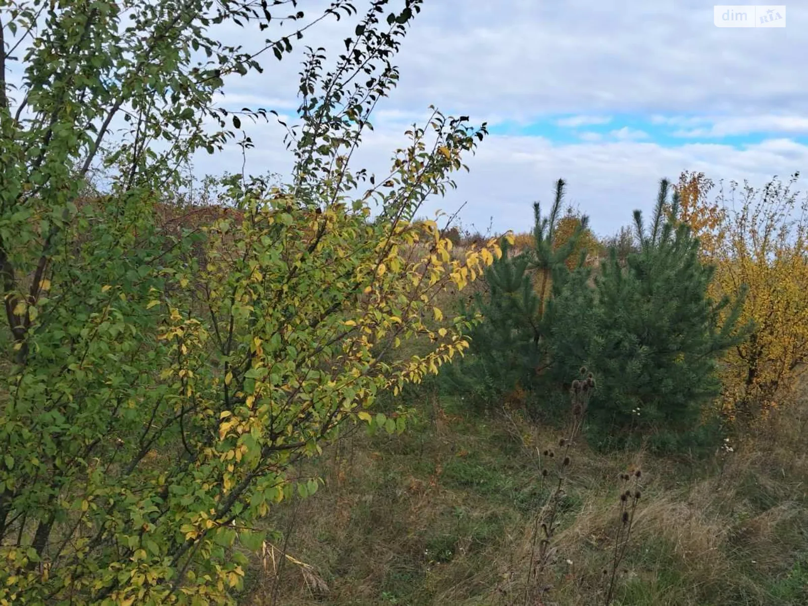Сдается в аренду земельный участок 7.3313 соток в Тернопольской области, цена: 10755 грн - фото 1