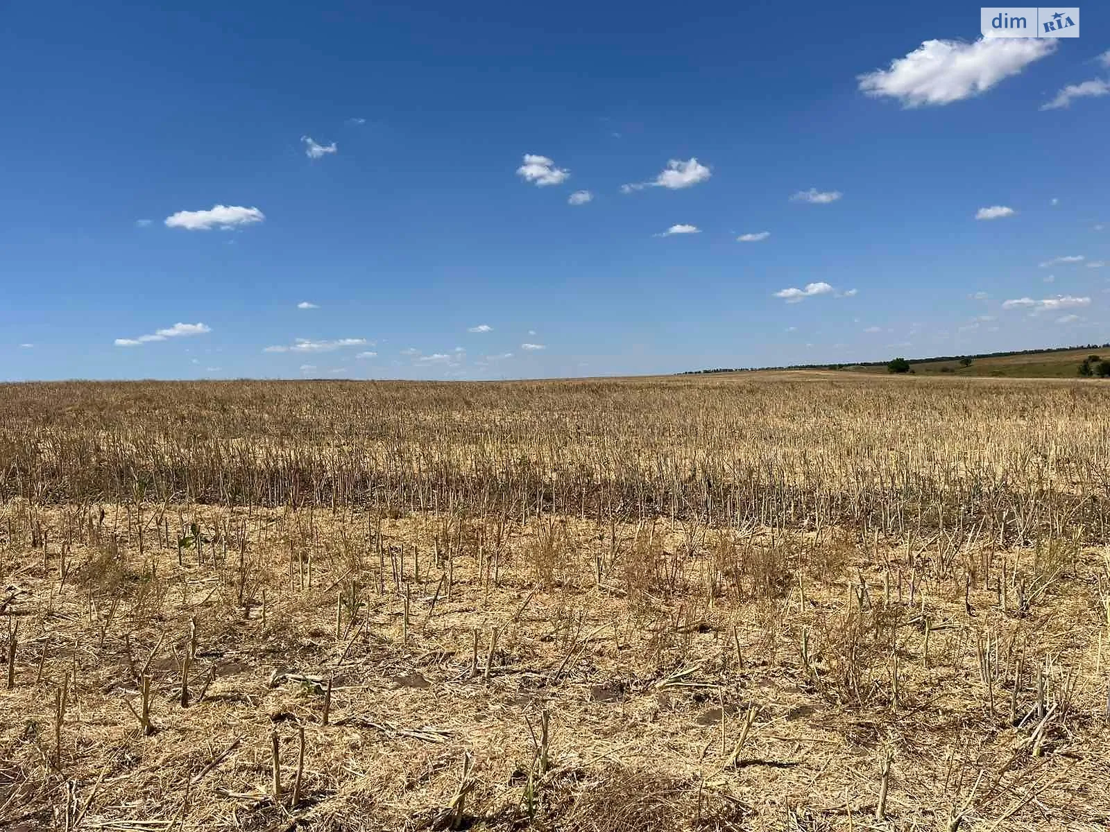 Лесное, цена: 16488 грн - фото 1