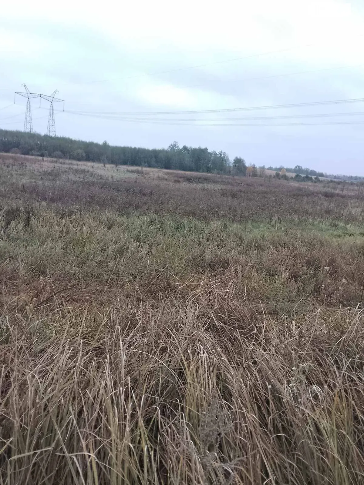 Здається в оренду земельна ділянка 8.9081 соток у  області, цена: 11582 грн - фото 1