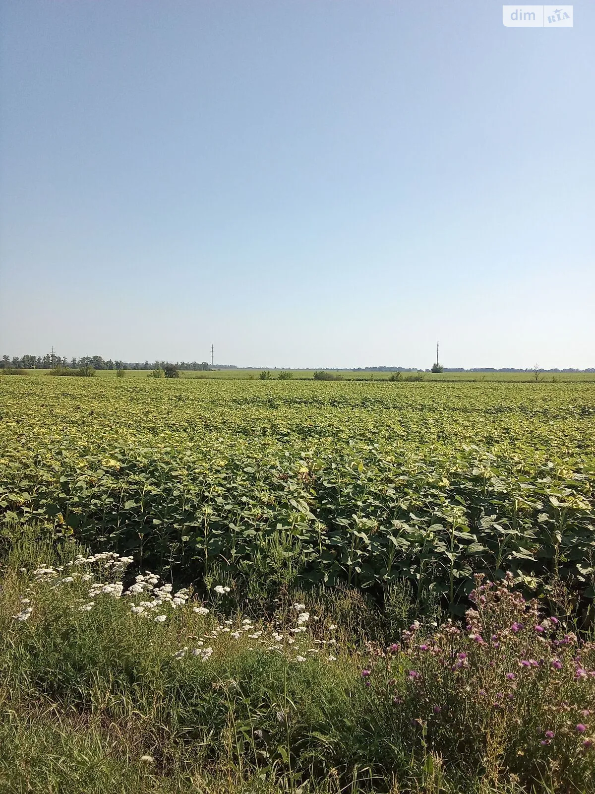 Яковлевка (Лозовая), цена: 20210 грн - фото 1