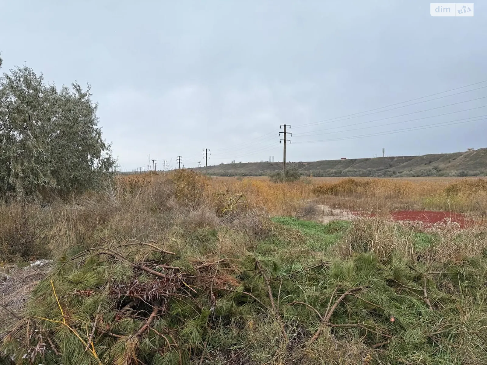 Сдается в аренду земельный участок 11.0789 соток в Николаевской области, цена: 5818 грн - фото 1