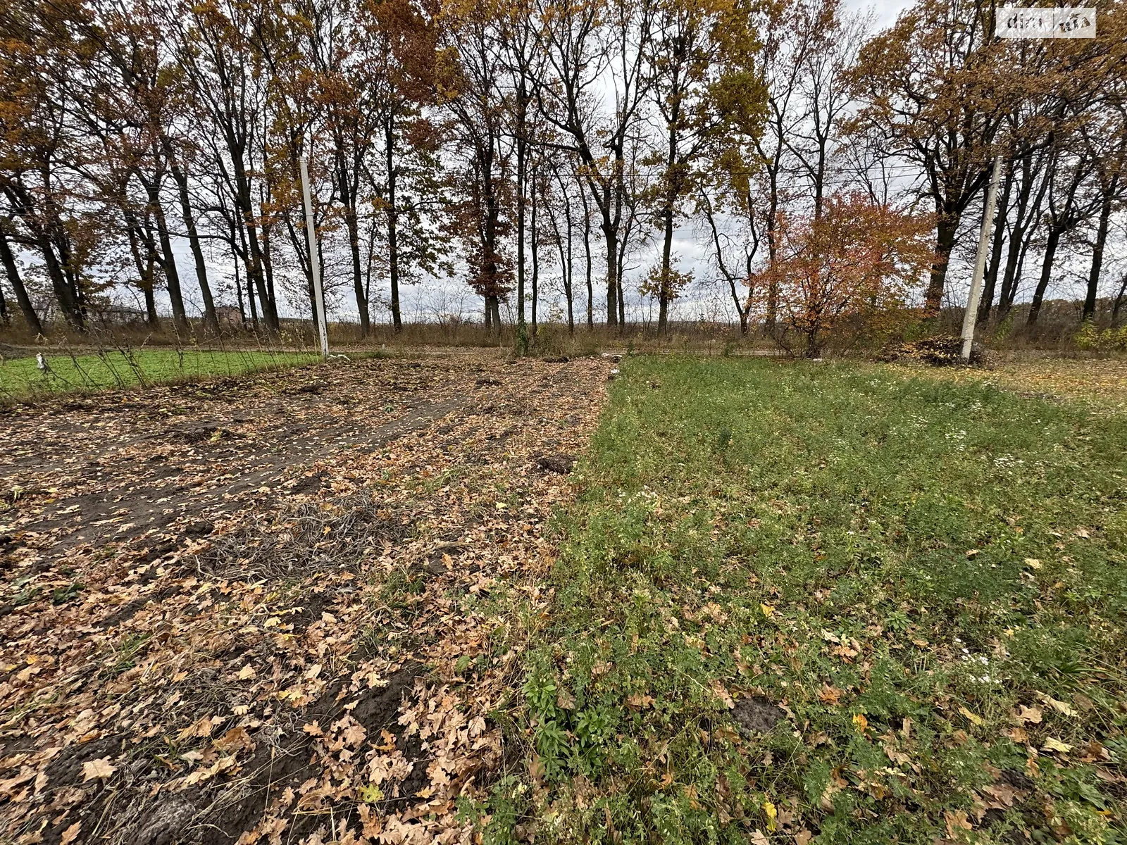 мас. Садовый Агрономичное, цена: 38000 $ - фото 1