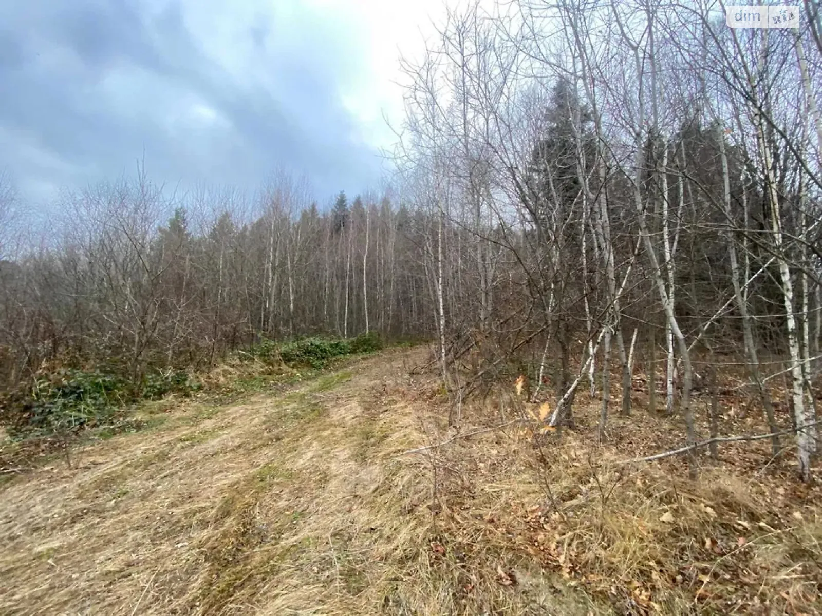 Продається земельна ділянка 8 соток у Львівській області, цена: 8000 $ - фото 1