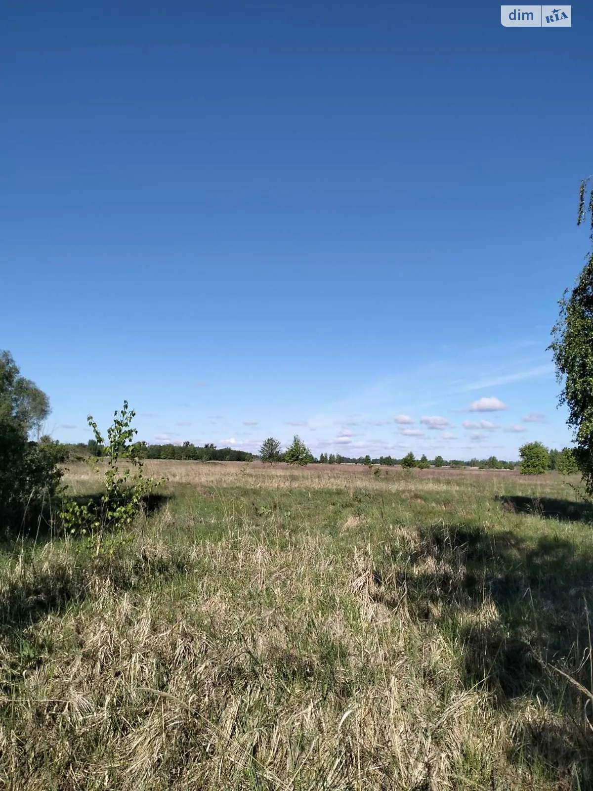 Здається в оренду земельна ділянка 20 соток у Чернігівській області, цена: 52588 грн - фото 1