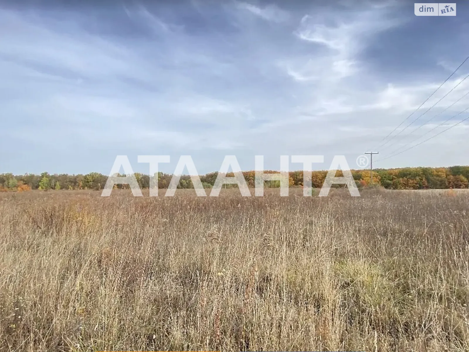 Продается земельный участок 10 соток в Винницкой области, цена: 30000 $ - фото 1