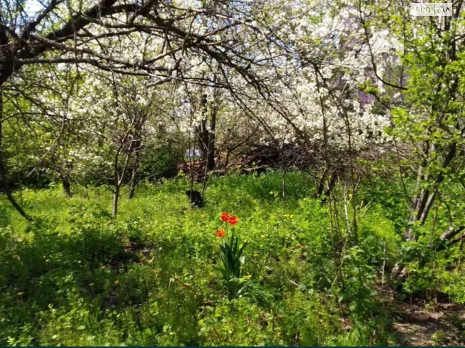 Продается одноэтажный дом 120 кв. м с садом, цена: 18000 $ - фото 1