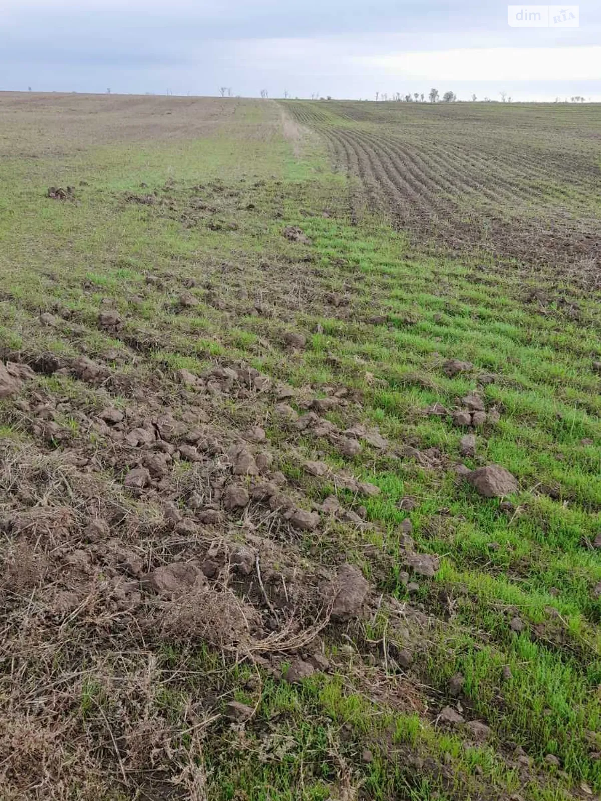 Здається в оренду земельна ділянка 18.3312 соток у Одеській області, цена: 60318 грн - фото 1