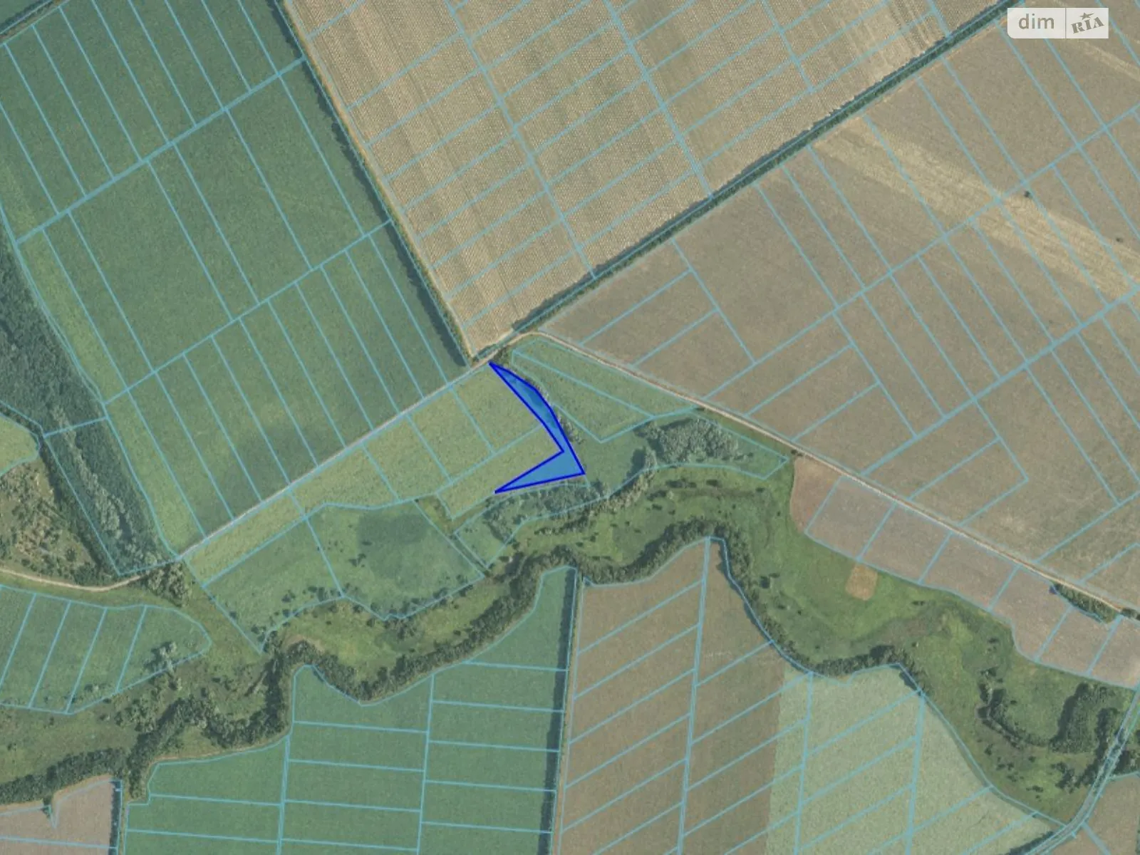 Сдается в аренду земельный участок 1.25 соток в  области, цена: 2681 грн - фото 1