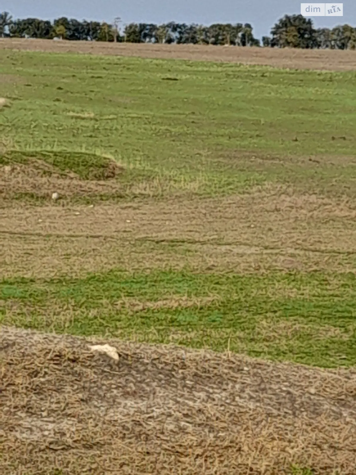 Здається в оренду земельна ділянка 17.8686 соток у Одеській області, цена: 52855 грн - фото 1