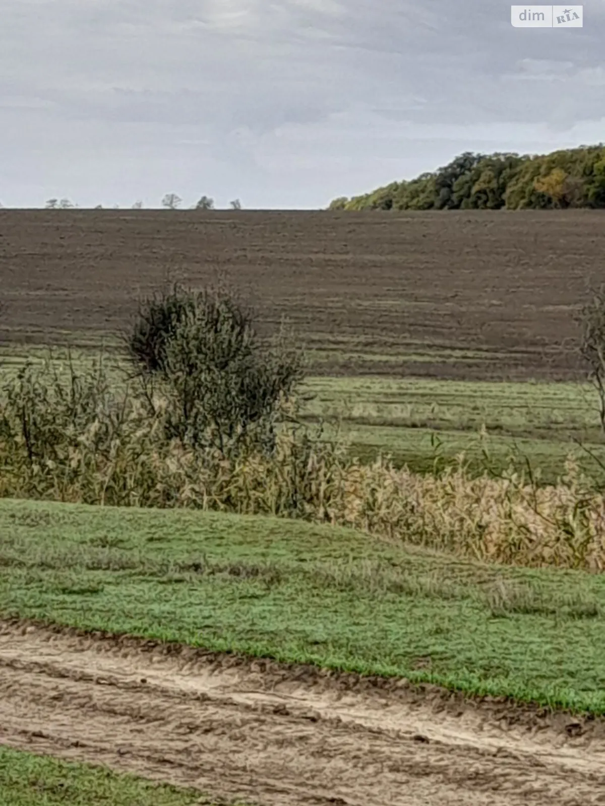 Здається в оренду земельна ділянка 17.8687 соток у Одеській області, цена: 55893 грн - фото 1