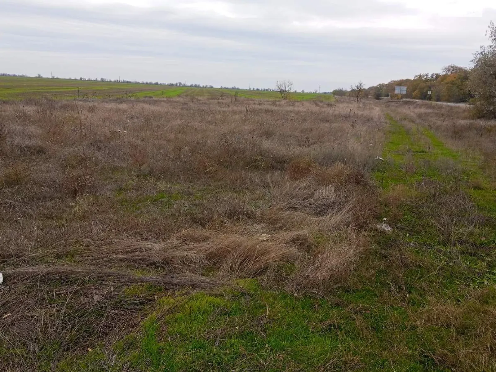 Здається в оренду земельна ділянка 0.4 соток у Одеській області, цена: 224942 грн - фото 1