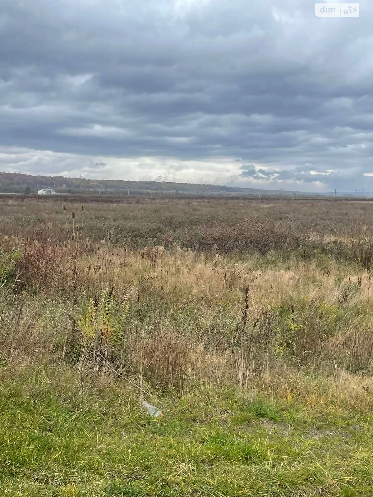 Здається в оренду земельна ділянка 20 соток у Івано-Франківській області, цена: 51259 грн - фото 1