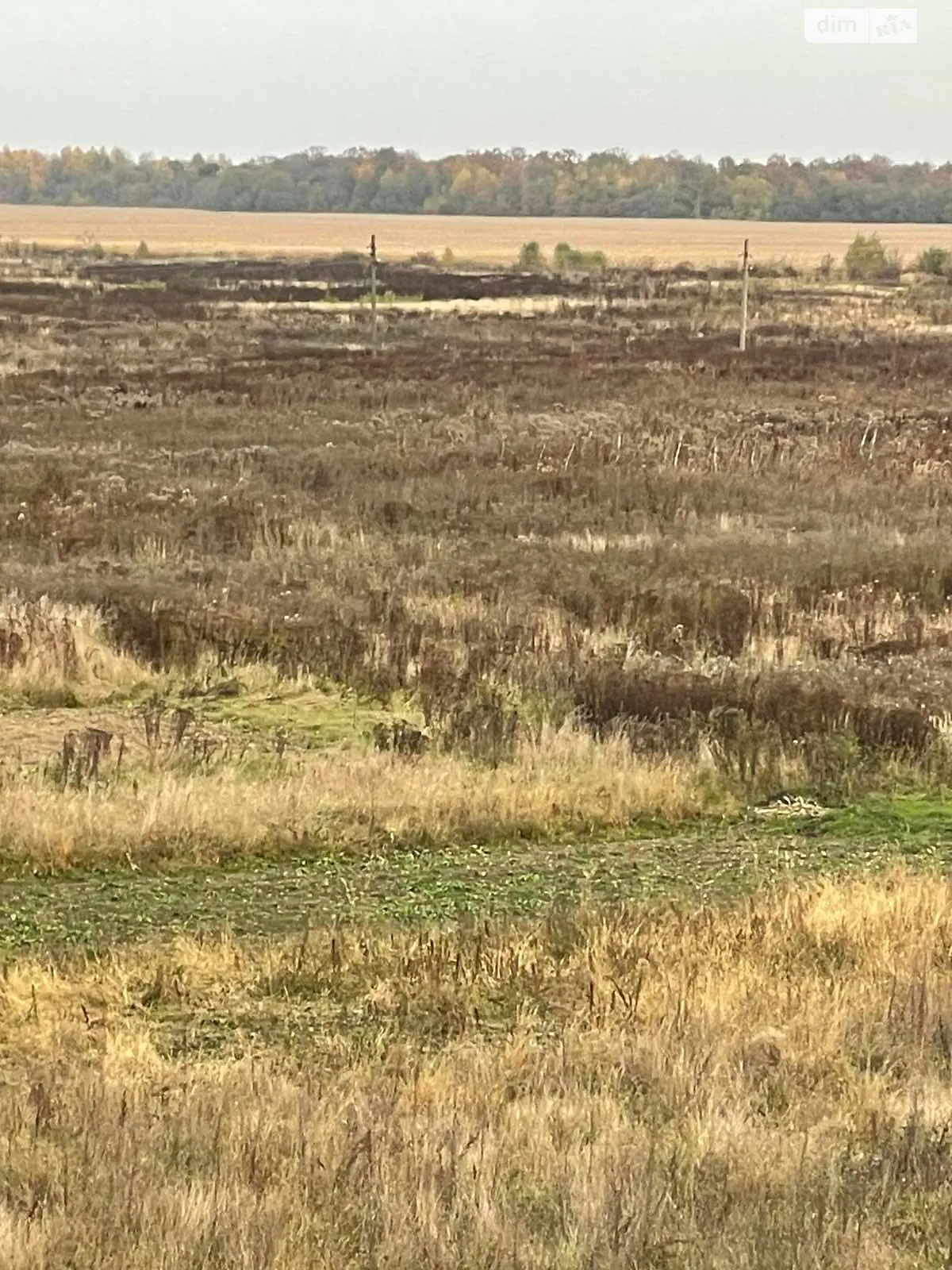 Здається в оренду земельна ділянка 11.4358 соток у Івано-Франківській області, цена: 22792 грн - фото 1
