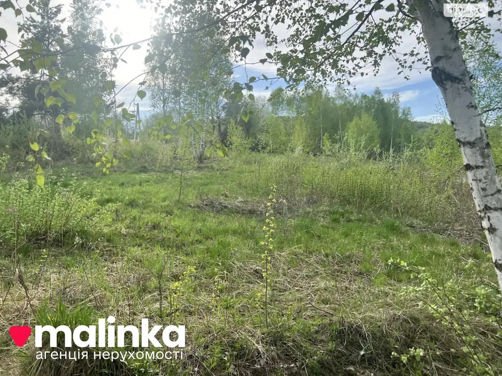 Продается земельный участок 40 соток в Львовской области, цена: 199000 $ - фото 1