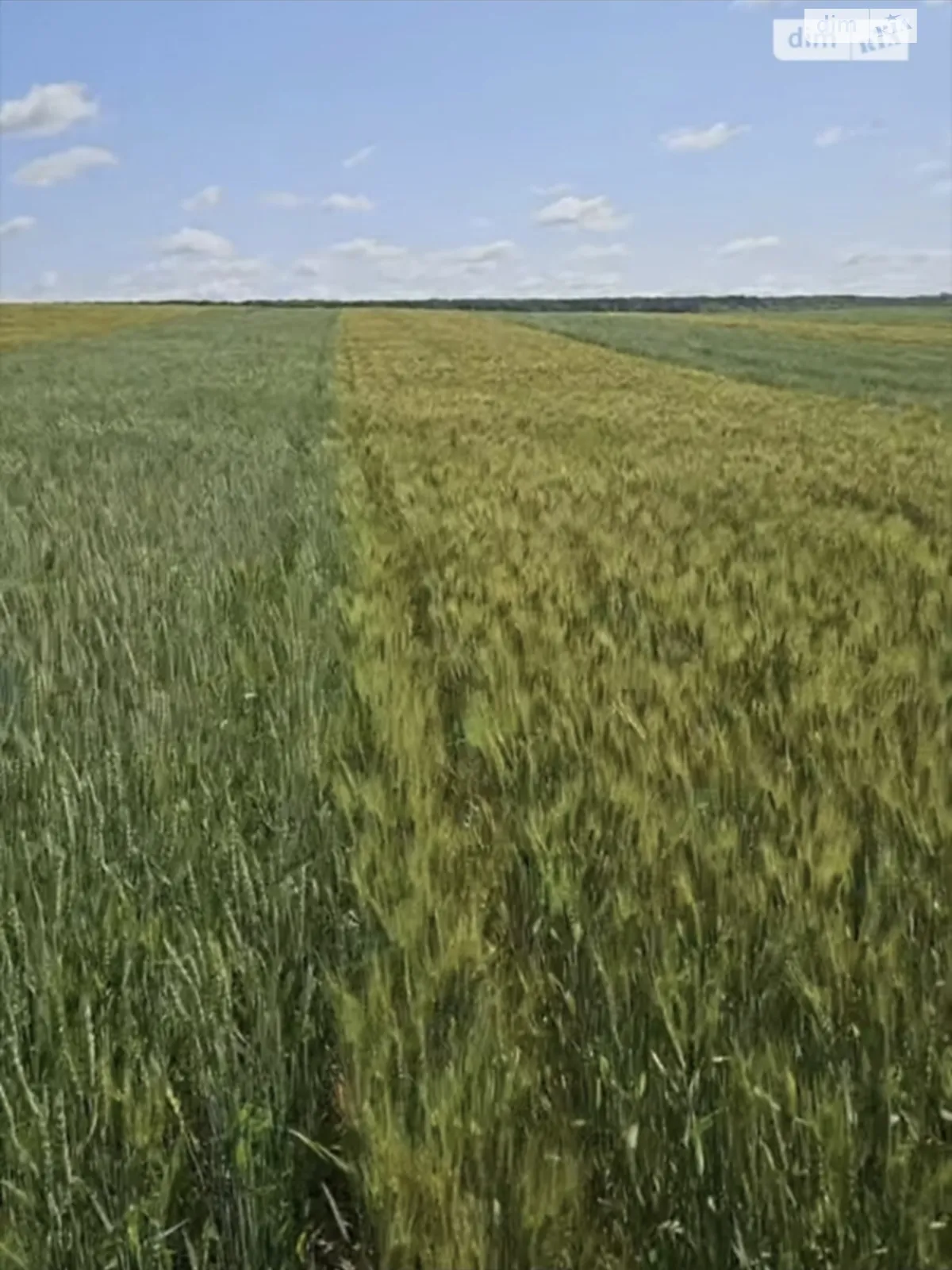 Продается земельный участок 60 соток в Винницкой области, цена: 39000 $ - фото 1