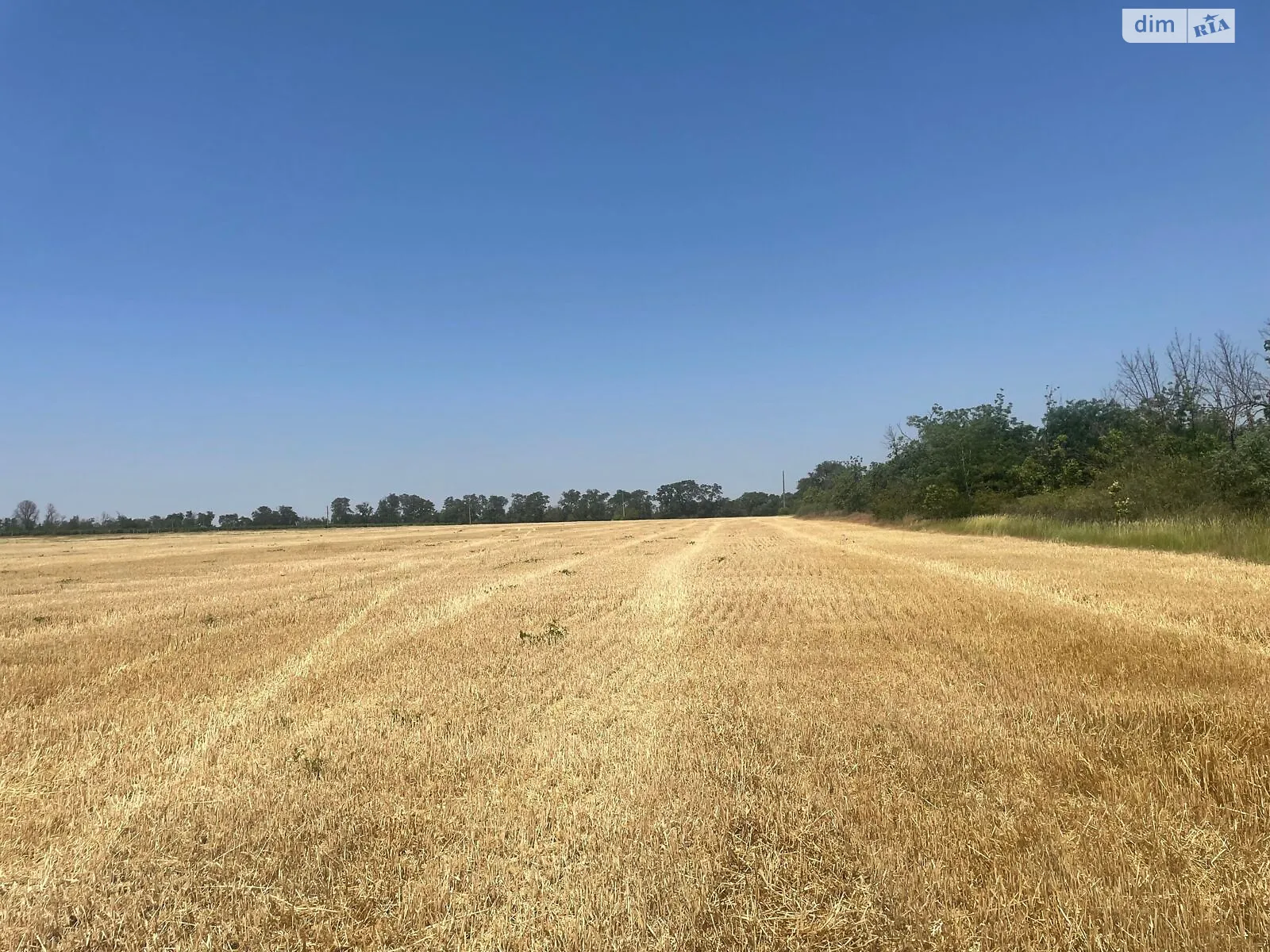 Здається в оренду земельна ділянка 11.954 соток у Одеській області, цена: 54363 грн - фото 1